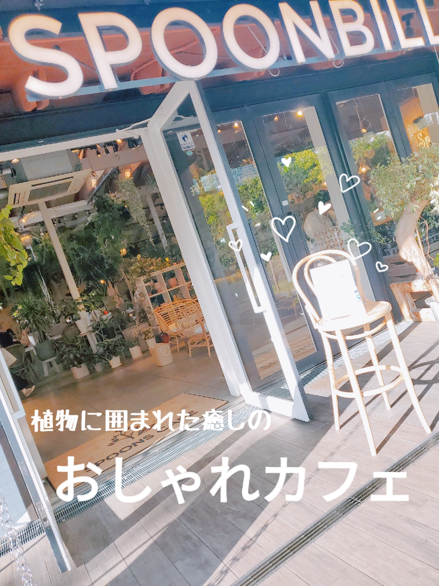 【大阪天王寺】植物に囲まれた癒しのカフェ♡の画像 (1枚目)