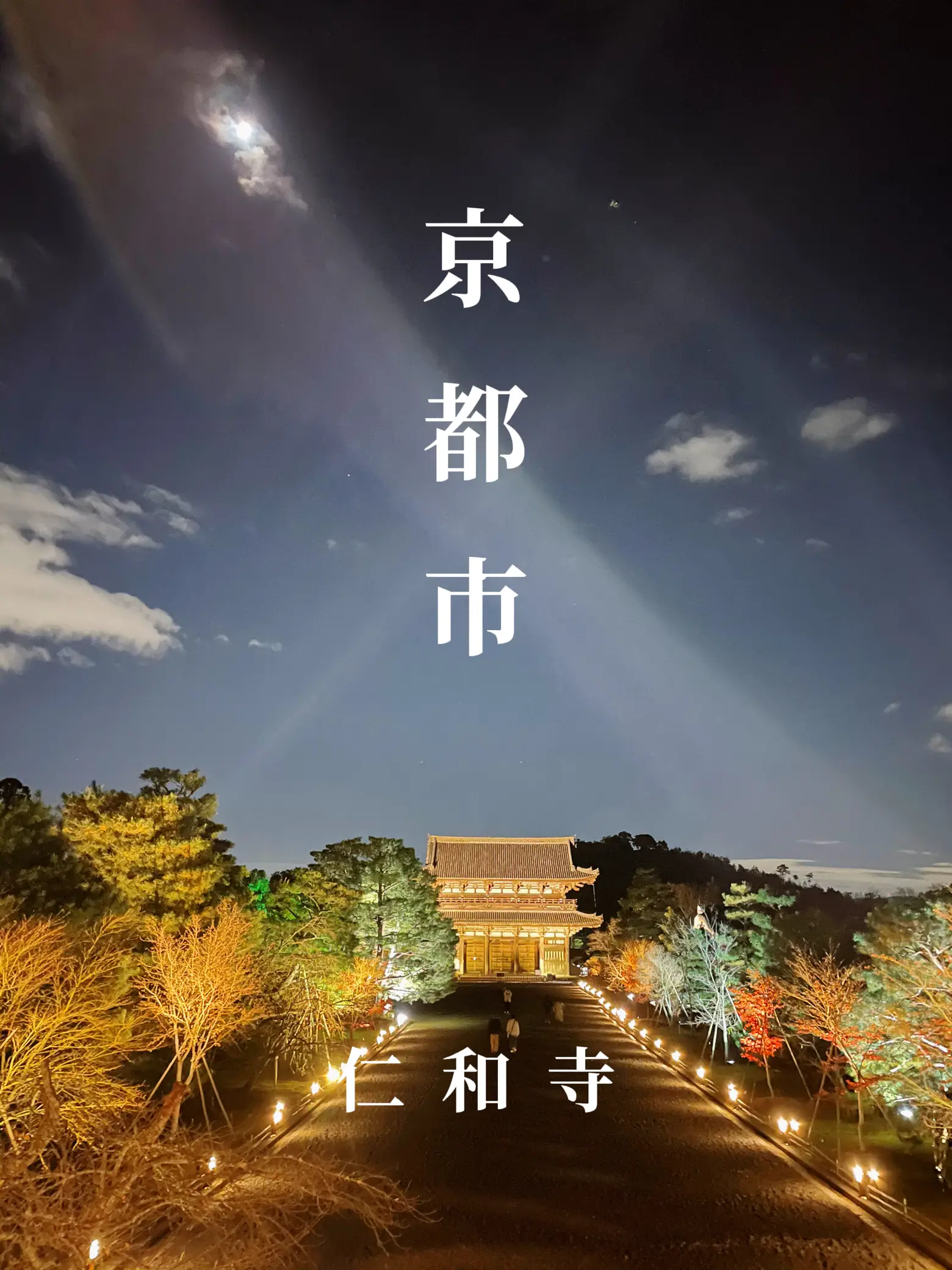 〜京都府〜世界遺産！仁和寺のライトアップ！の画像 (1枚目)