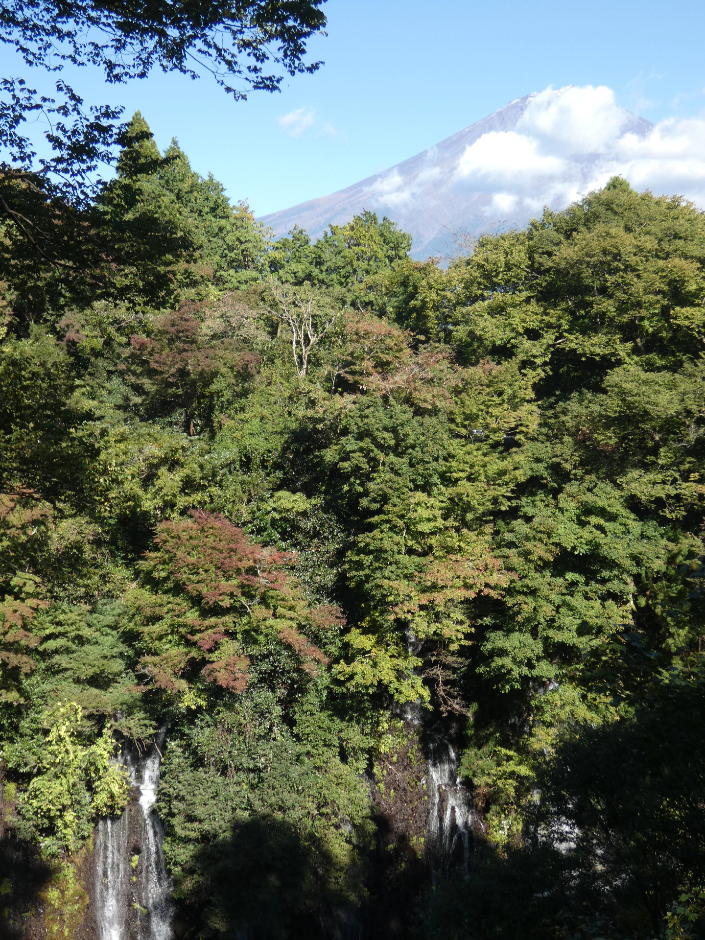 神秘的な眺め　〜白糸の滝〜の画像 (2枚目)