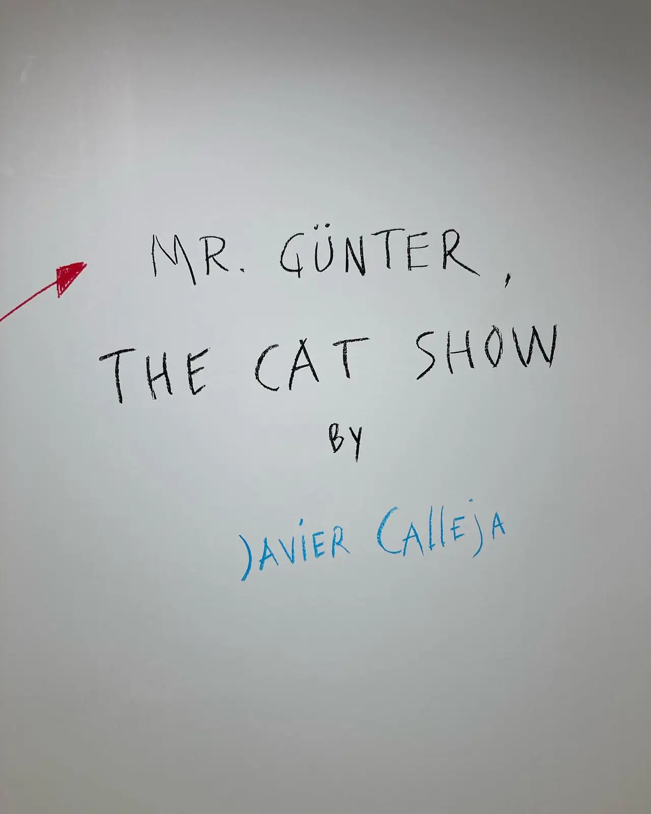 Javier Calleja Hook Mr. Gunter ハビエルカジェハ 【新品未使用