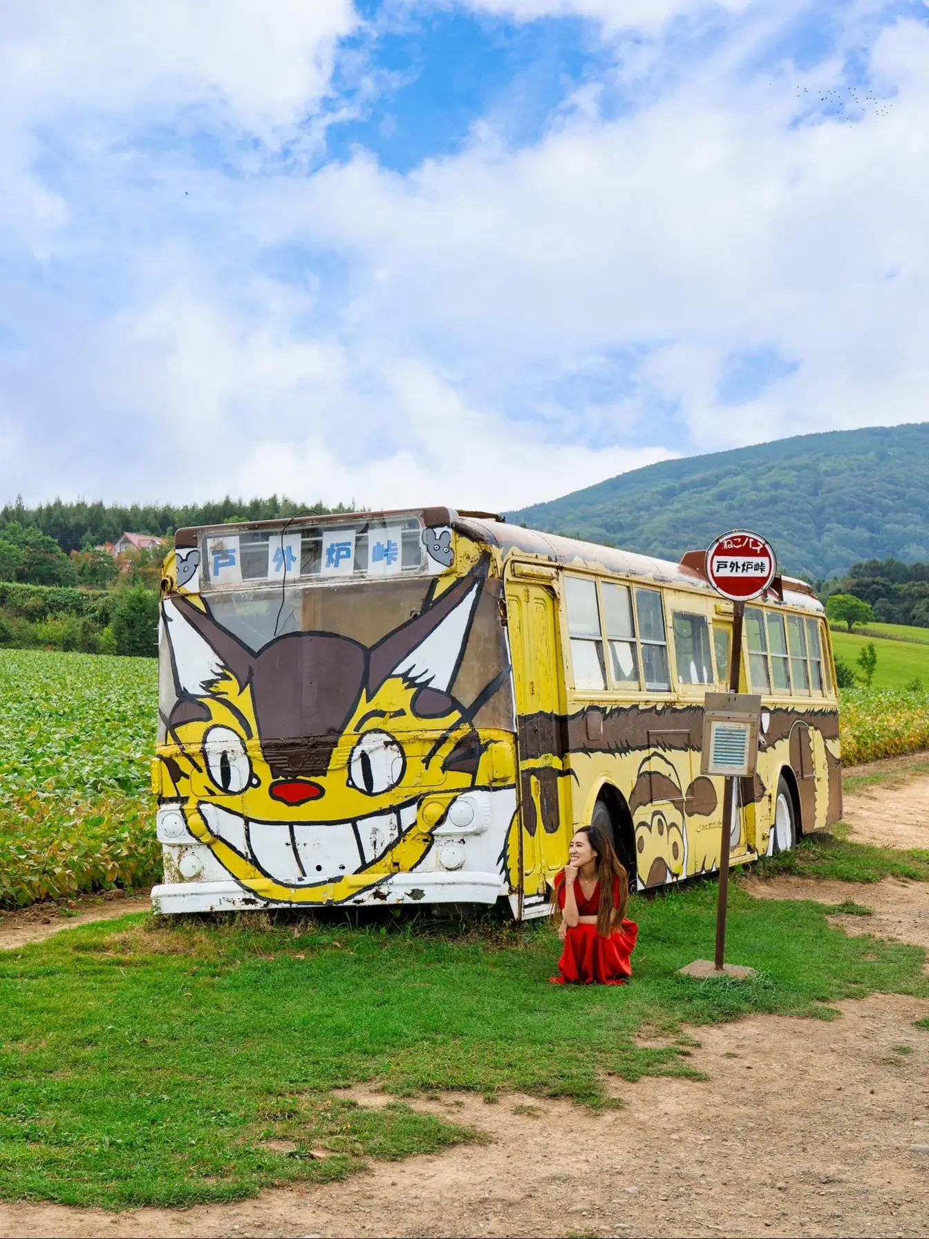 【北海道】ジブリ好き必見！かわいすぎる猫バスの画像 (1枚目)