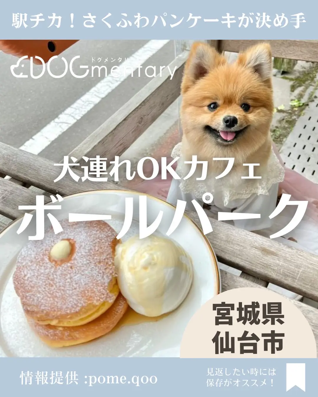 宮城県仙台市 犬連れokカフェ ボールパーク Dogmentaryが投稿したフォトブック Lemon8