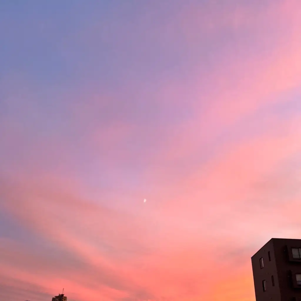 Sunset Lemon8