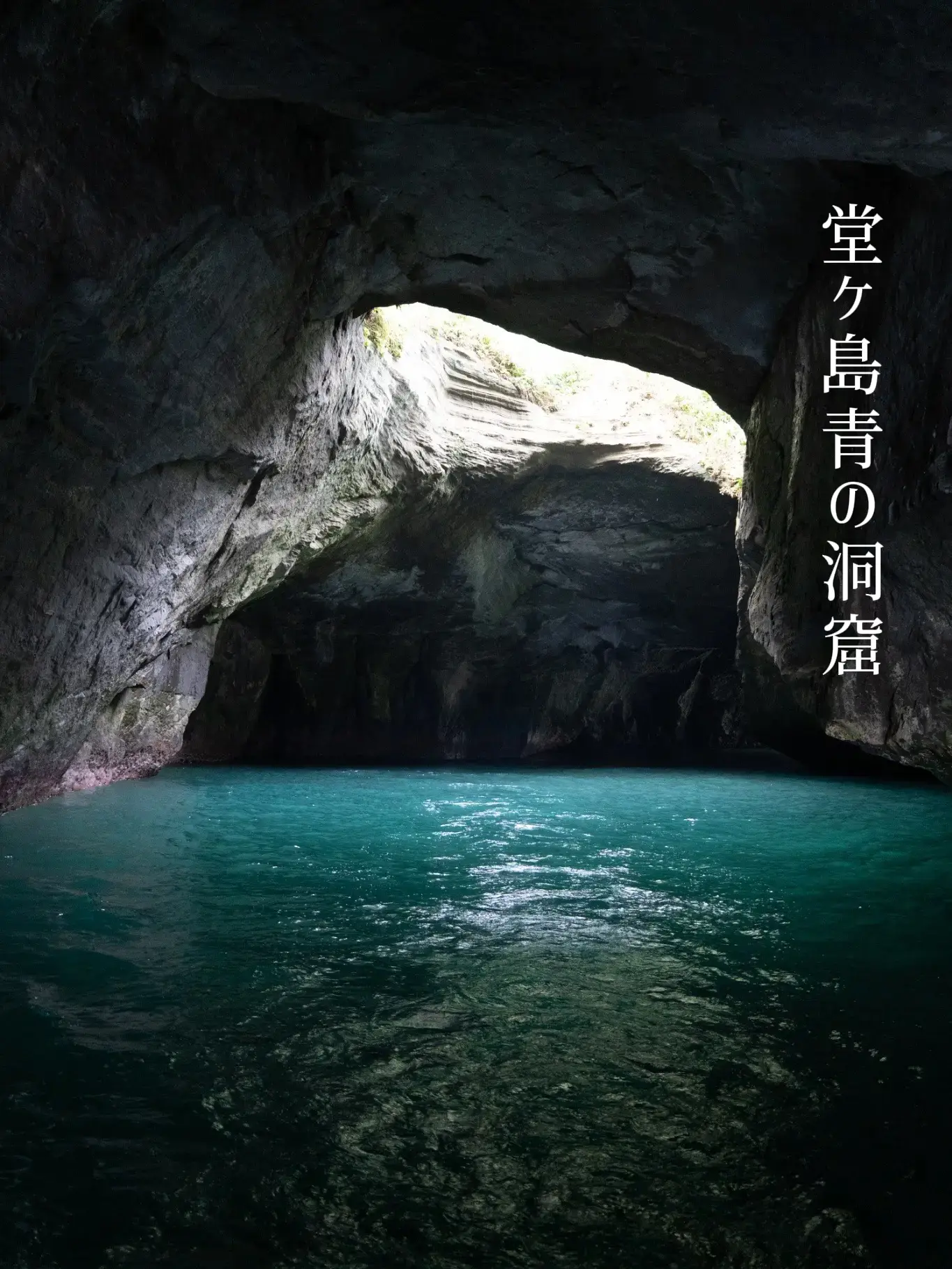 伊豆 堂ヶ島 洞くつめぐり はなぞのが投稿したフォトブック Lemon8