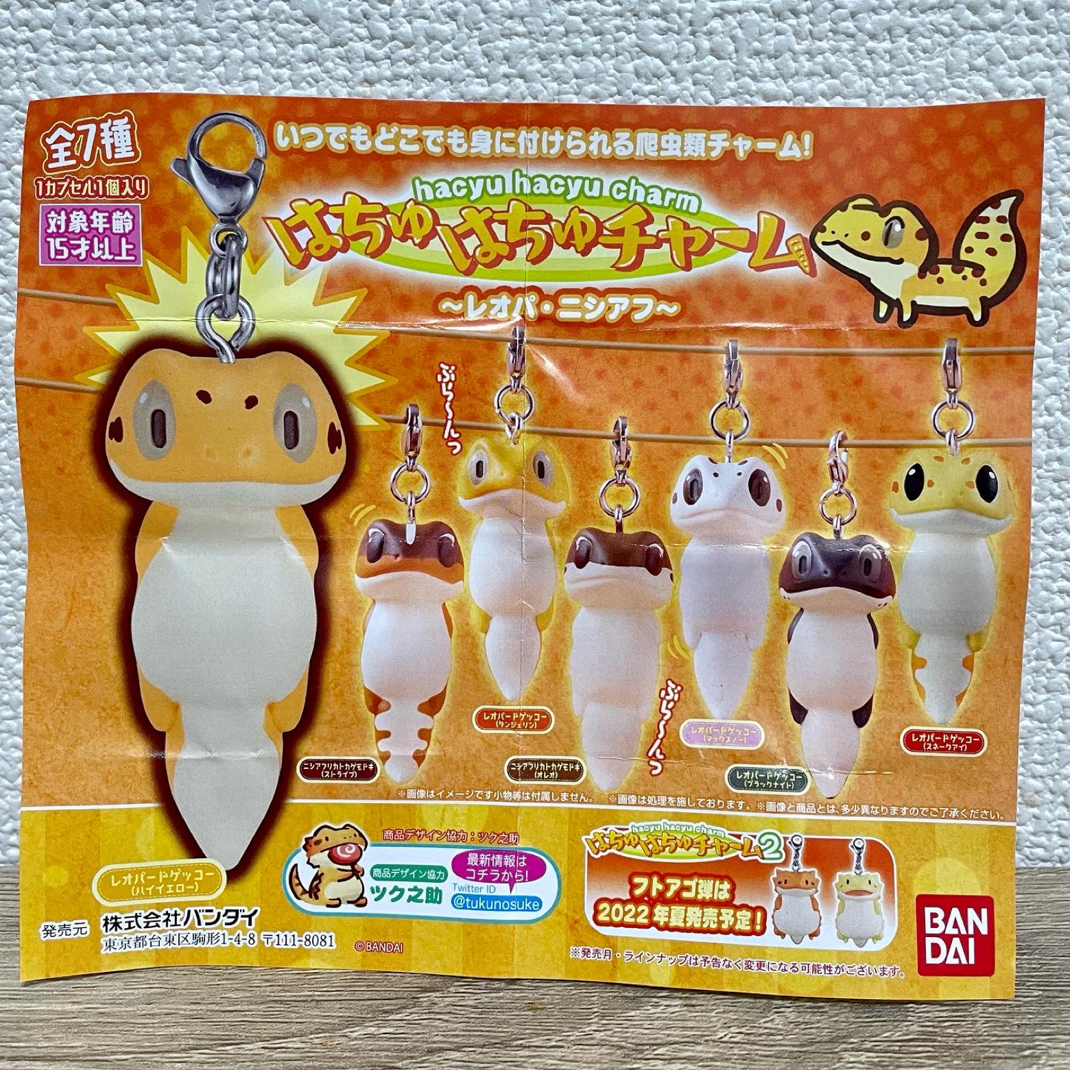 爬虫類 レオパードゲッコー のチャーム - その他