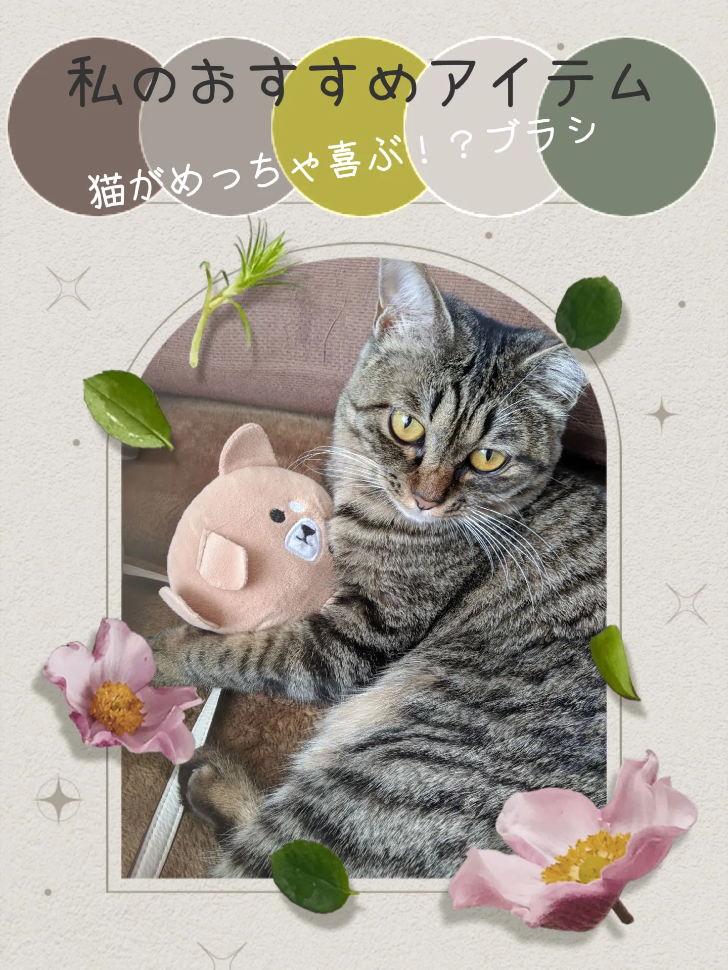 動物も、夢をみる？♡˖꒰ᵕ༚ᵕ⑅꒱