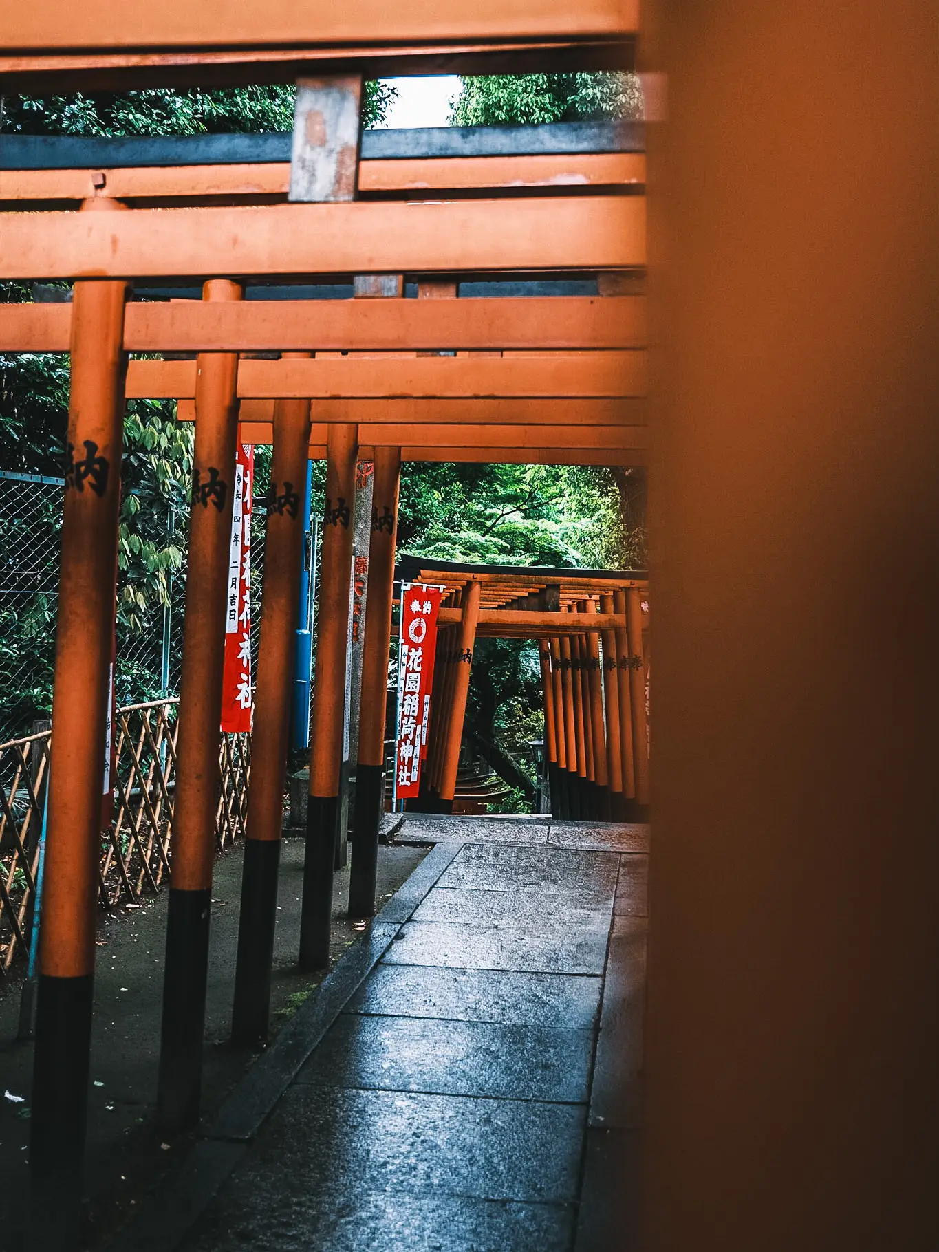 東京 東京にある赤い鳥居 Kumiko Naruが投稿したフォトブック Lemon8