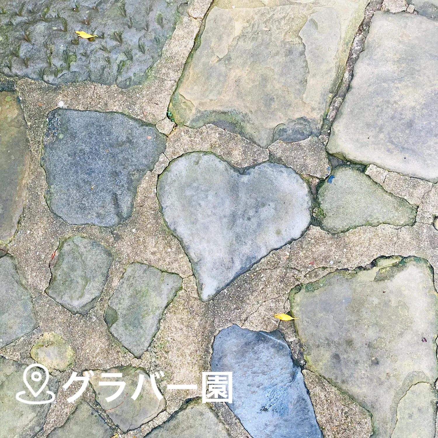 長崎 ハートスポット M Pictureが投稿したフォトブック Lemon8