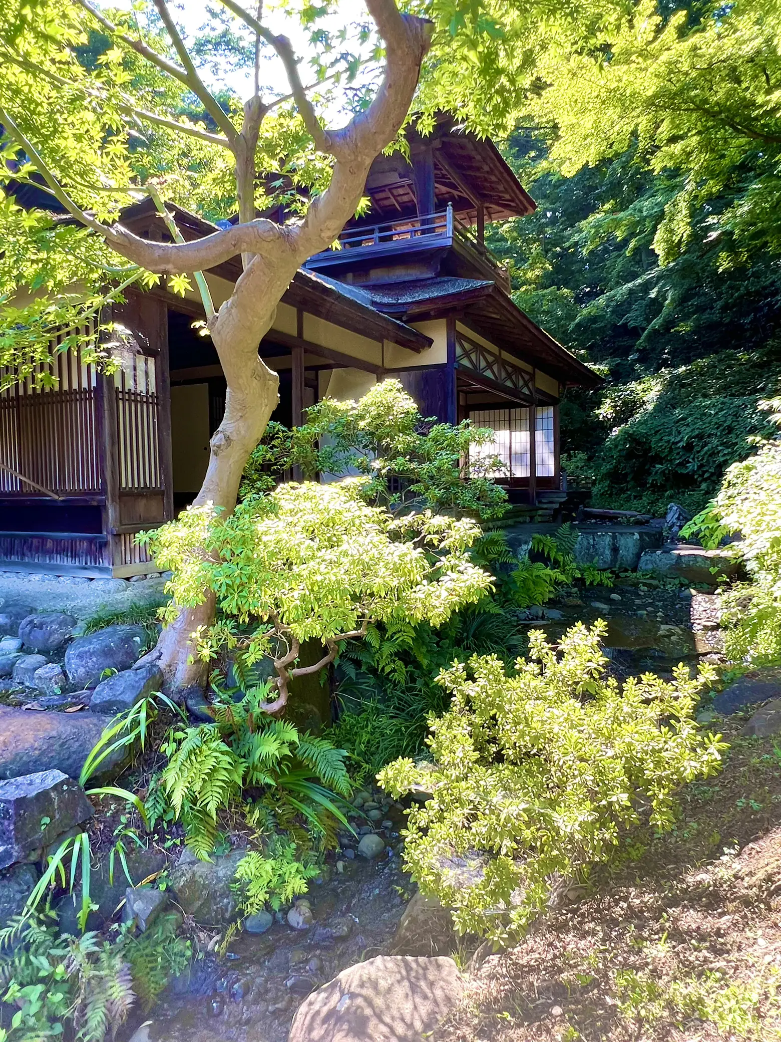 〜神奈川県〜和の風情を感じる日本庭園！三溪園③の画像 (2枚目)