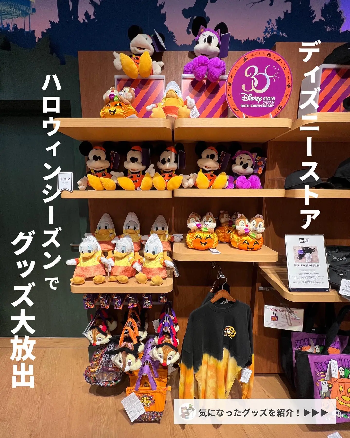 ディズニーストア ハロウィンここしか勝たん あみの家 ゆるディズニー大好きが投稿したフォトブック Lemon8