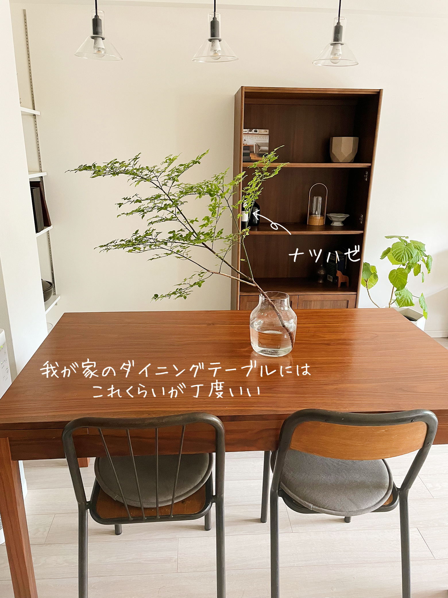 季節を感じる枝物インテリア Kiki Husが投稿したフォトブック Lemon8