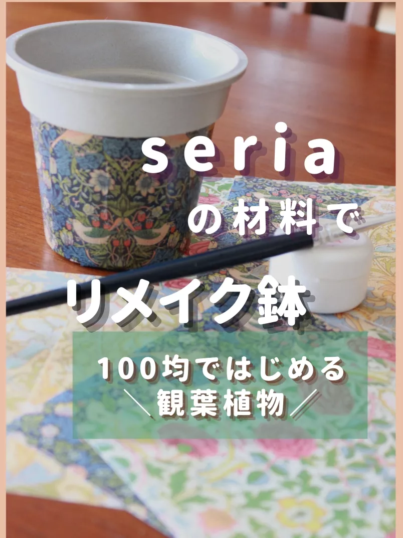 セリアの材料でリメイク鉢 100均ではじめる観葉植物 らーちゃん 100均観葉植物が投稿した記事 Lemon8