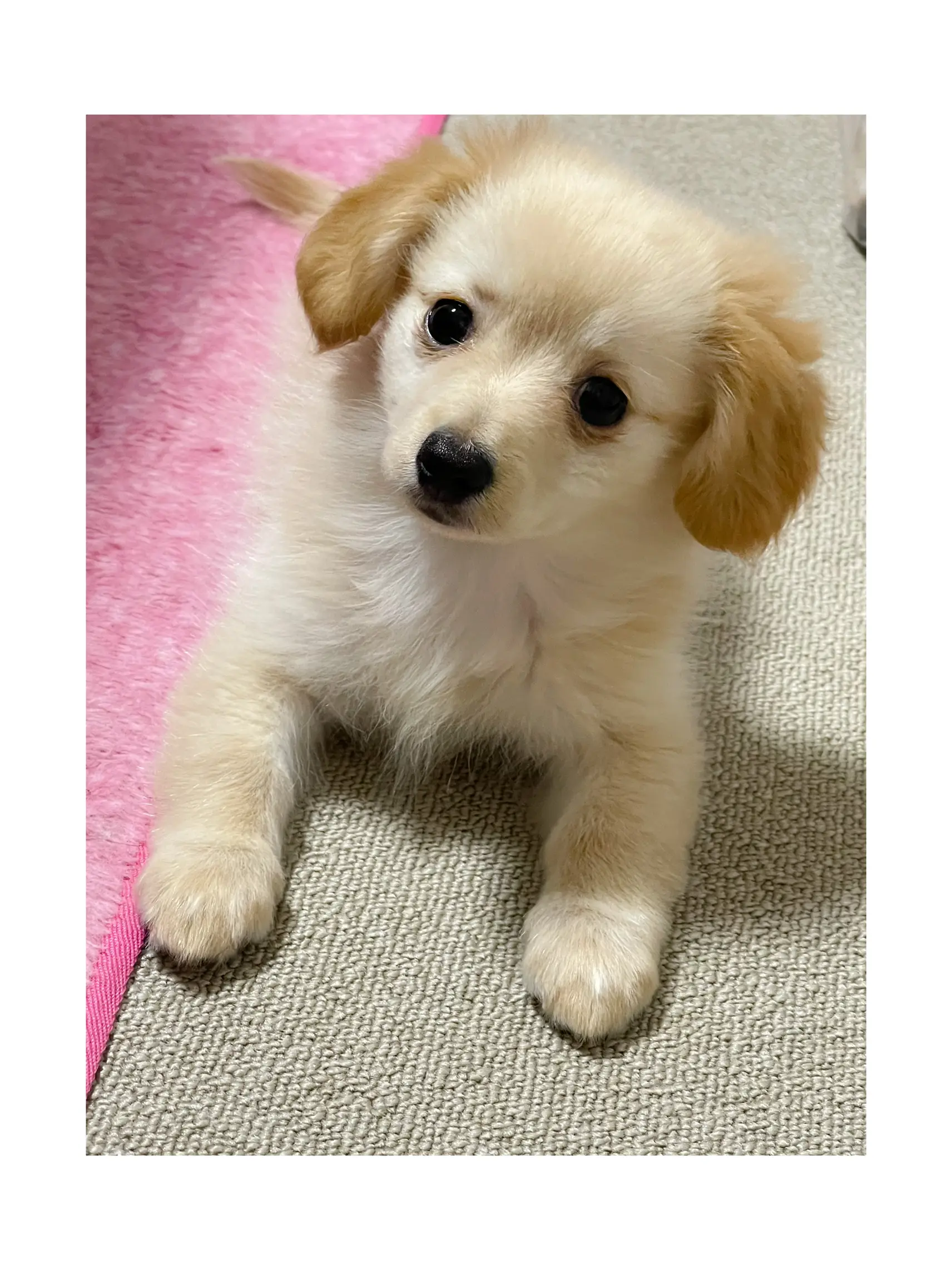 4枚目見て が投稿したフォトブック Lemon8 4枚目見て が投稿したフォトブック Lemon8