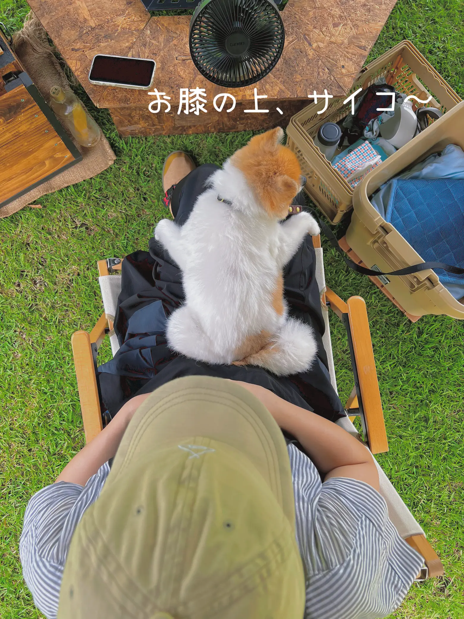 【犬とキャンプ】犬連れ夫婦キャンパーのキャンプ日記の画像 (3枚目)
