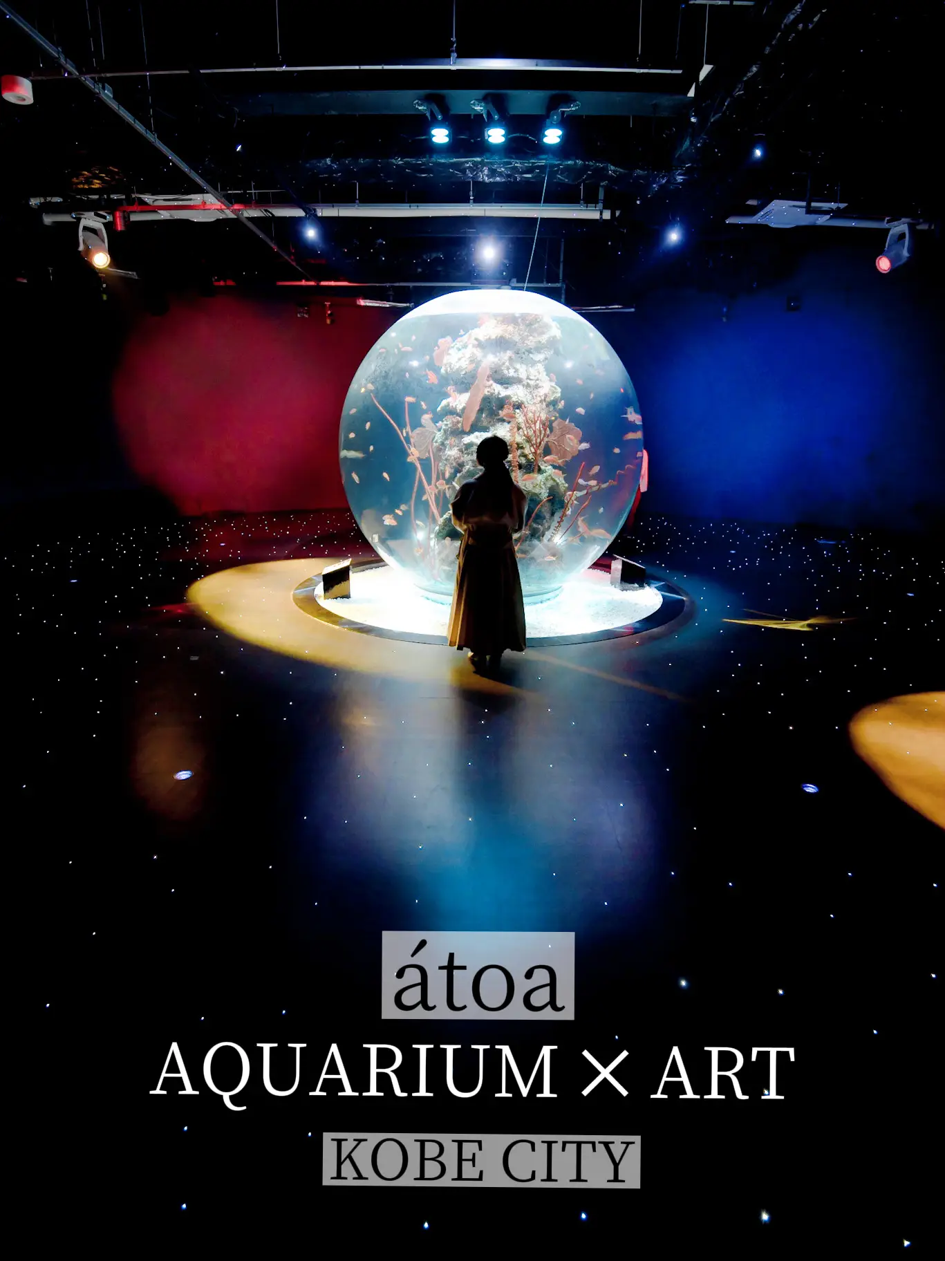 【神戸にある新感覚の水族館！🐠】アクアリウムとアートが融合した水族館がとても美しい！✨の画像 (1枚目)