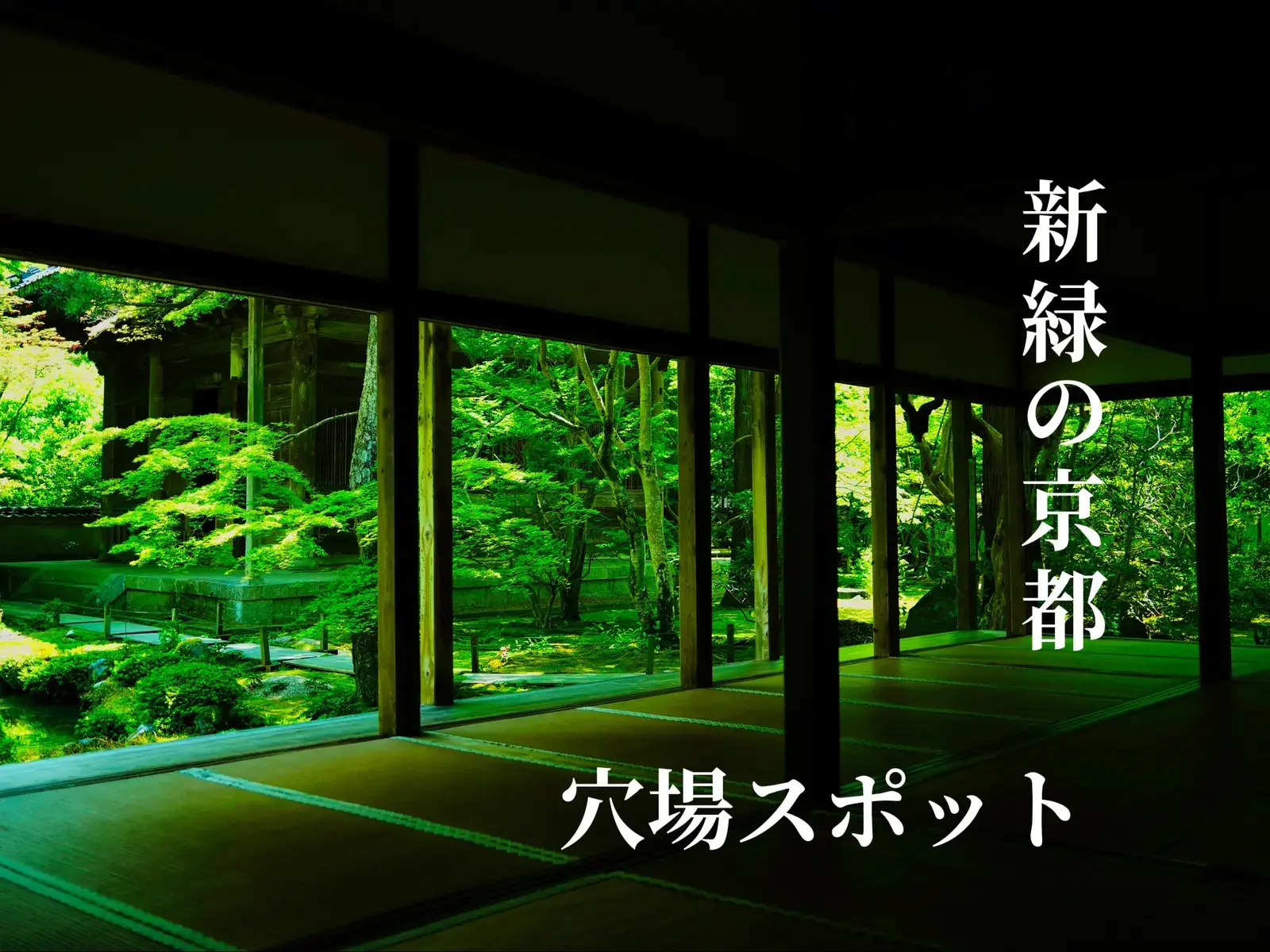 意外と知られてない 瑠璃光院から徒歩で行ける新緑の癒し空間 Tenpaland が投稿したフォトブック Lemon8