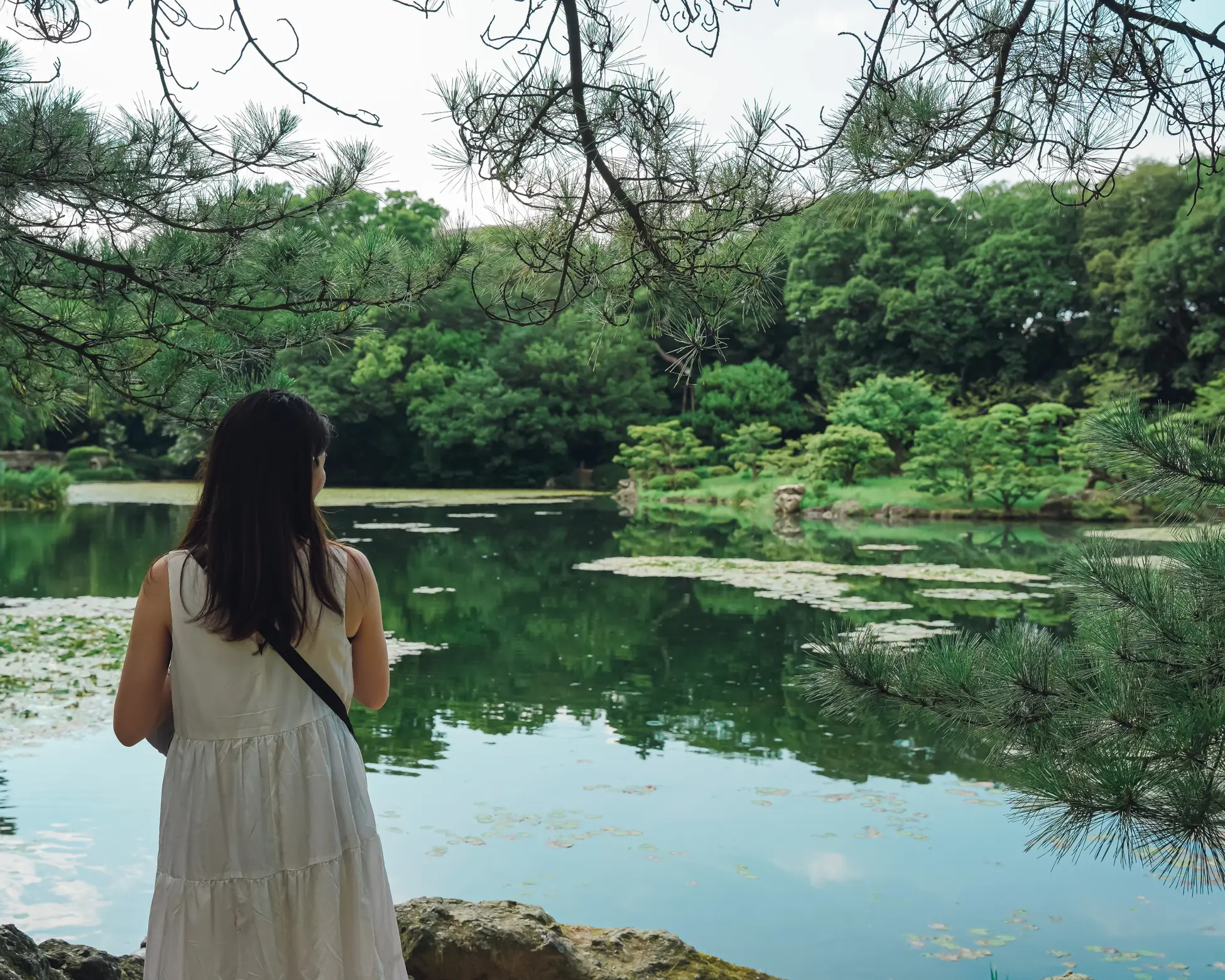 【香川】海外の旅行ガイドから最高評価を受けた絶景庭園！の画像 (3枚目)