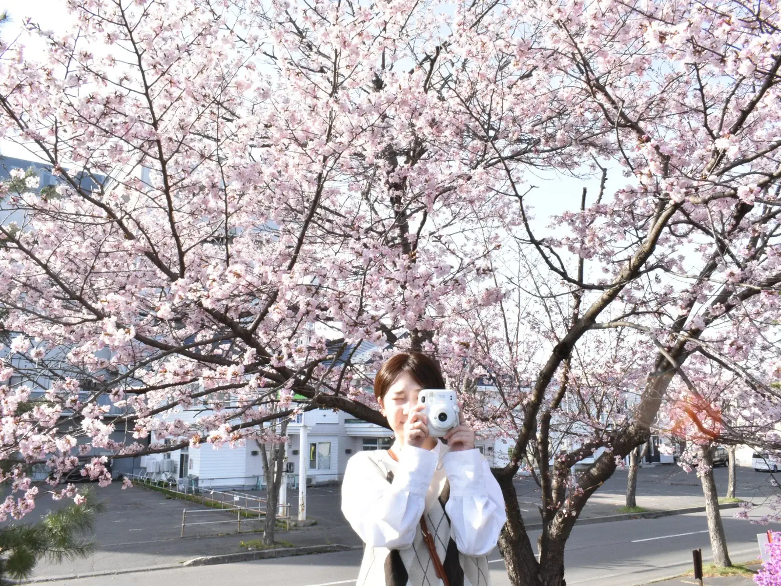 自己流写真の撮り方『桜』と『人』の画像 (1枚目)
