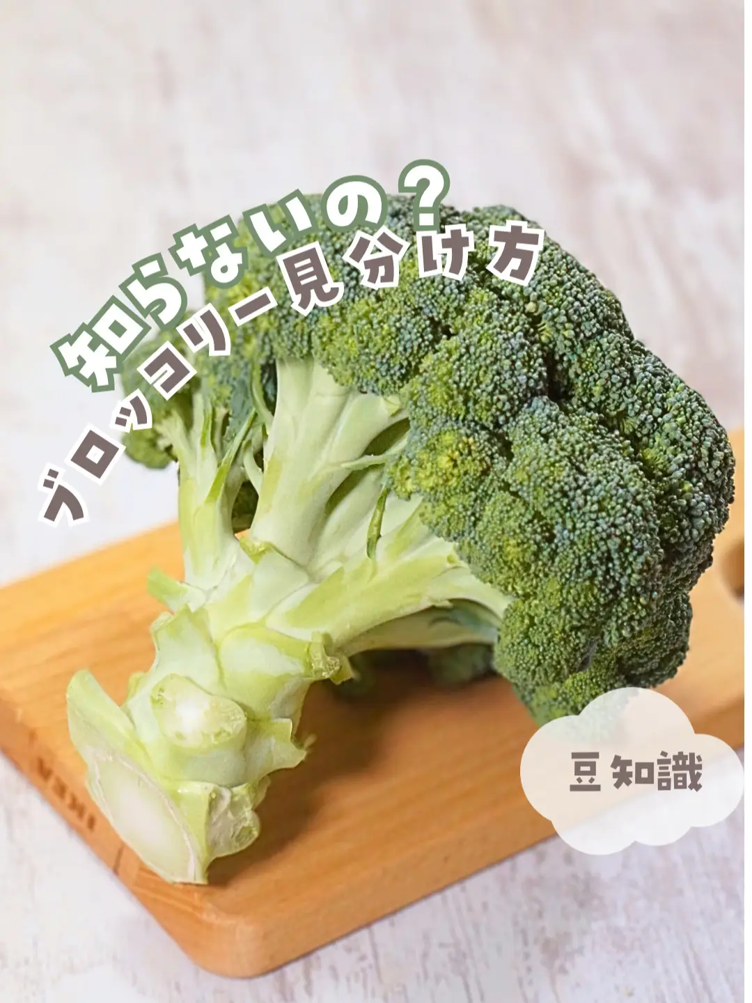 \ブロッコリーの常識🥦/