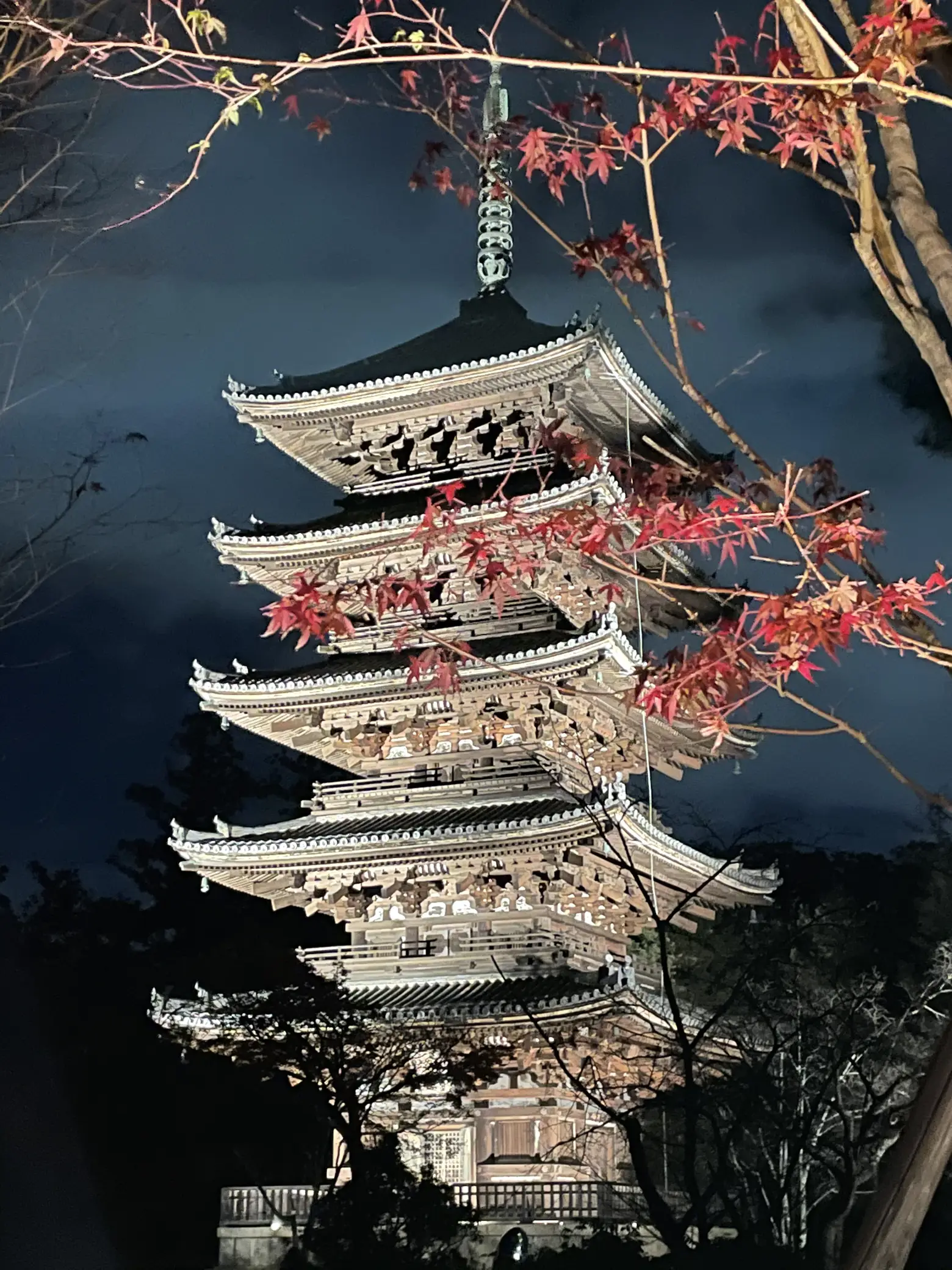 〜京都府〜世界遺産！仁和寺のライトアップ！の画像 (2枚目)