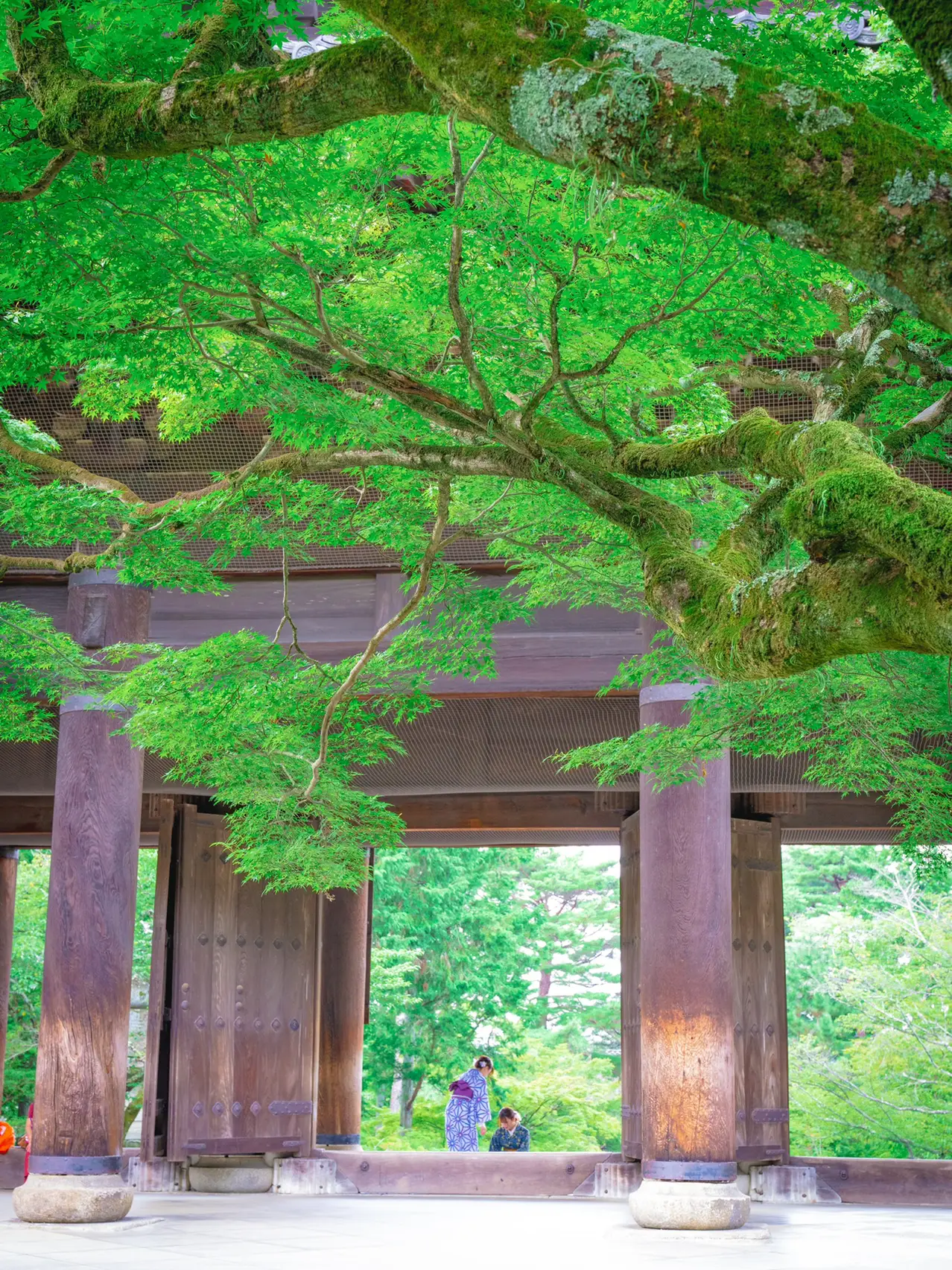 【死ぬまでに絶対行きたい日本の風景】南禅寺@京都の画像 (3枚目)