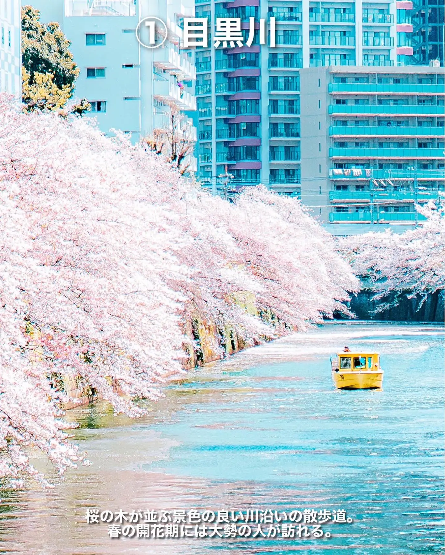 ソラマチ ムシムシ縁日 Lemon8