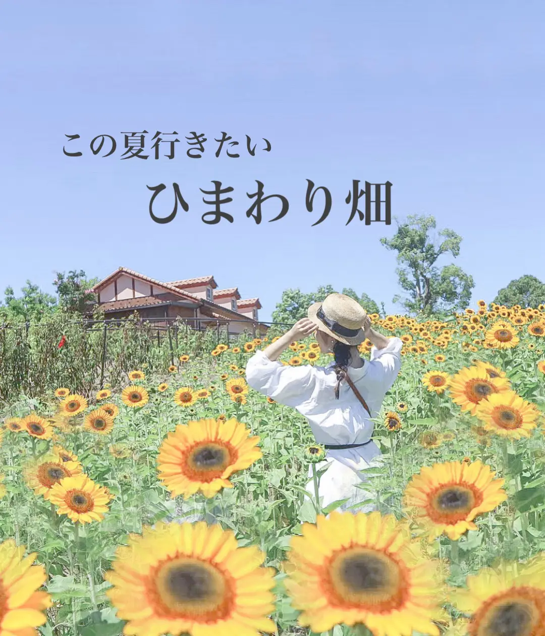 ハーベストの丘 Lemon8