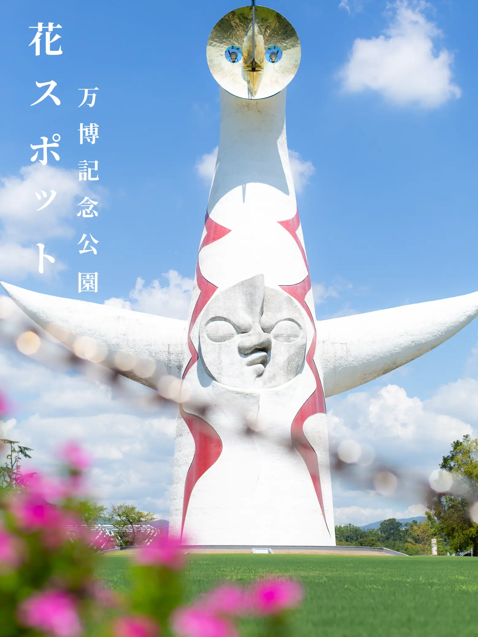 大阪 万博記念公園 コスモスに彼岸花 朝活しよう Ryoが投稿したフォトブック Lemon8
