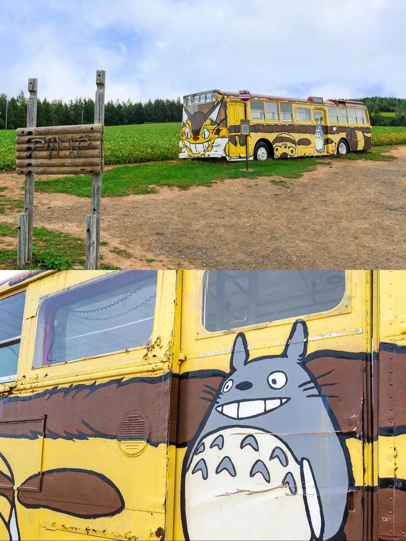 【北海道】ジブリ好き必見！かわいすぎる猫バスの画像 (2枚目)