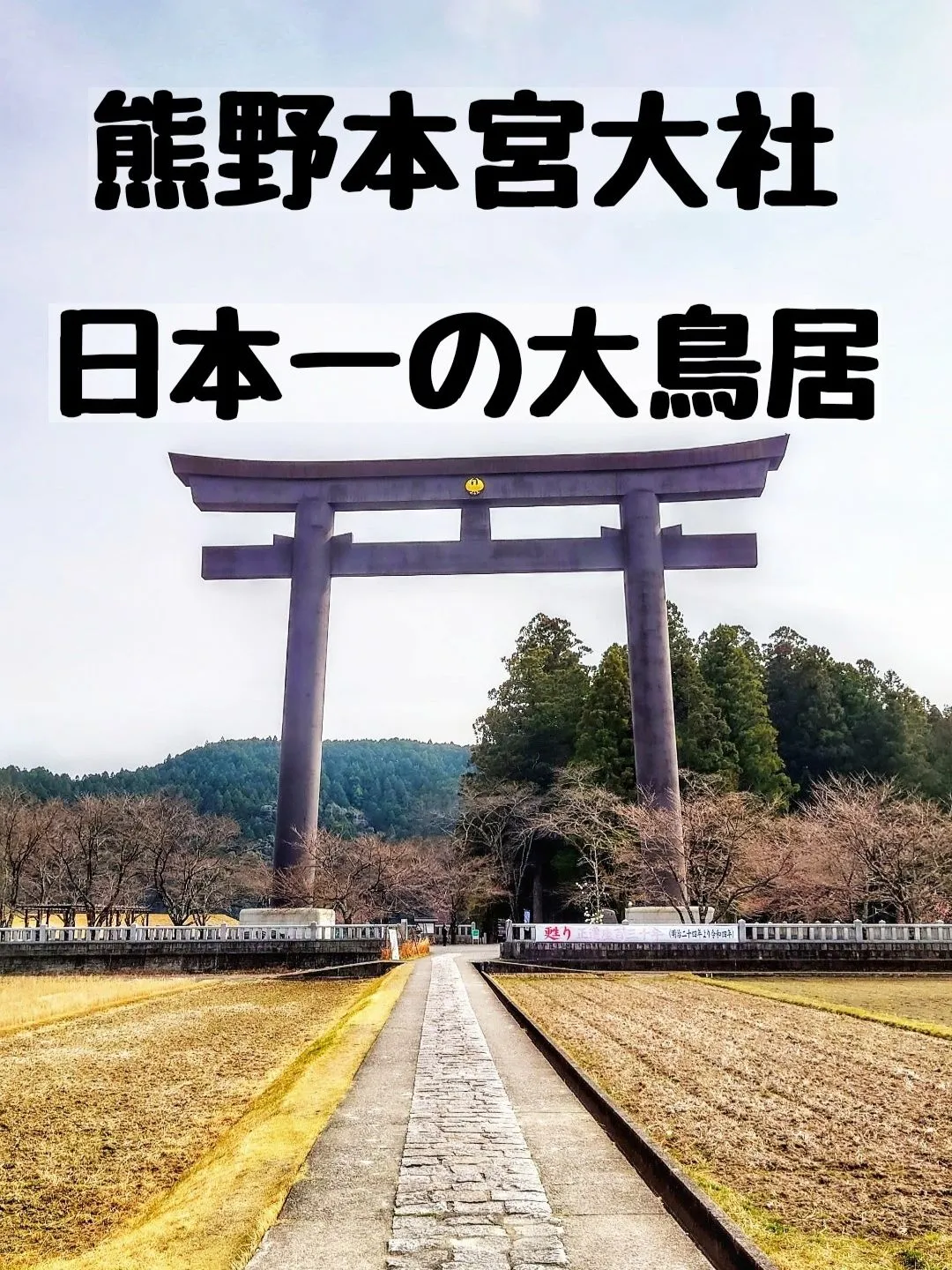 大鳥居 神社級 大迫力 木製鳥居 - 大阪府のその他