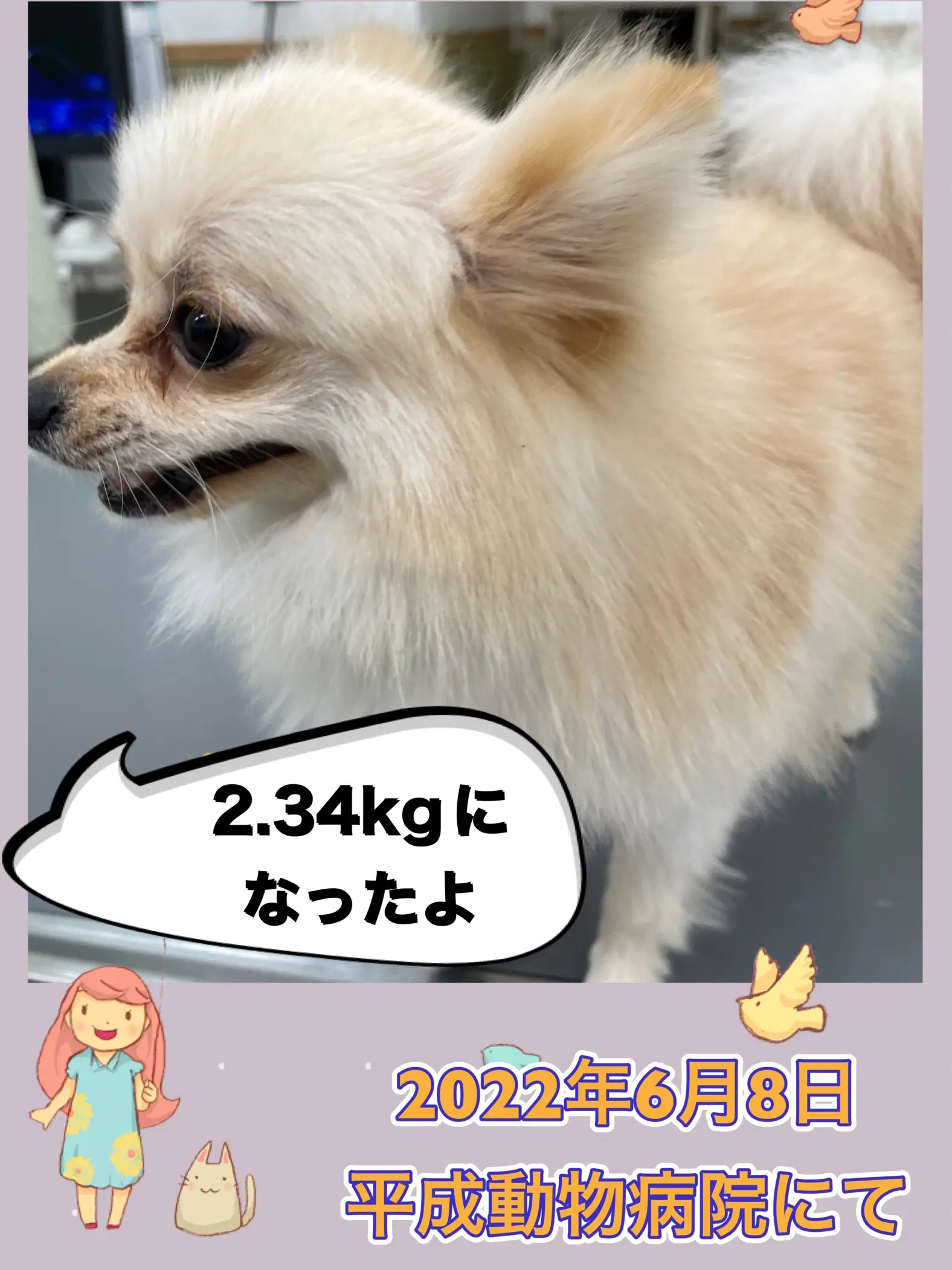 去勢手術の日 凛桜が投稿したフォトブック Lemon8