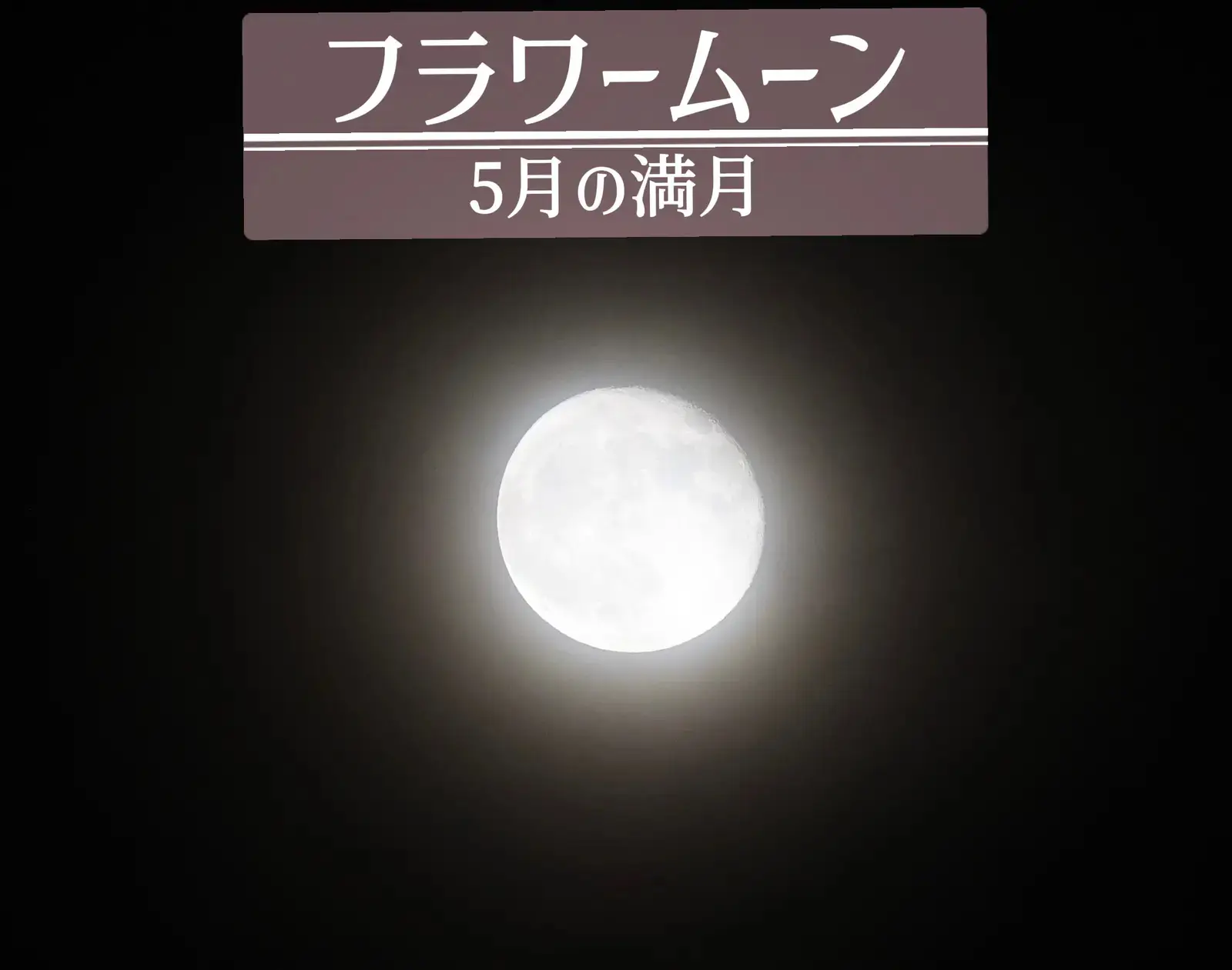 フラワームーンに関する最新の人気投稿 Lemon8