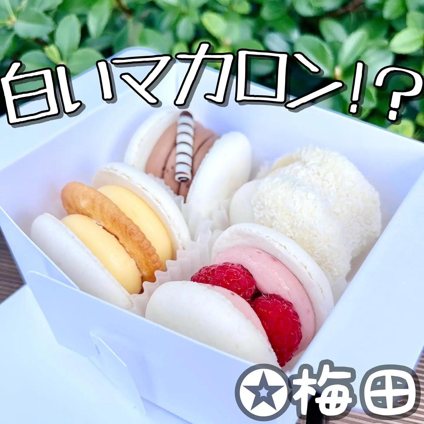 着色料不使用 太っちょマカロン トゥンカロン Yukikatagiriが投稿したフォトブック Lemon8