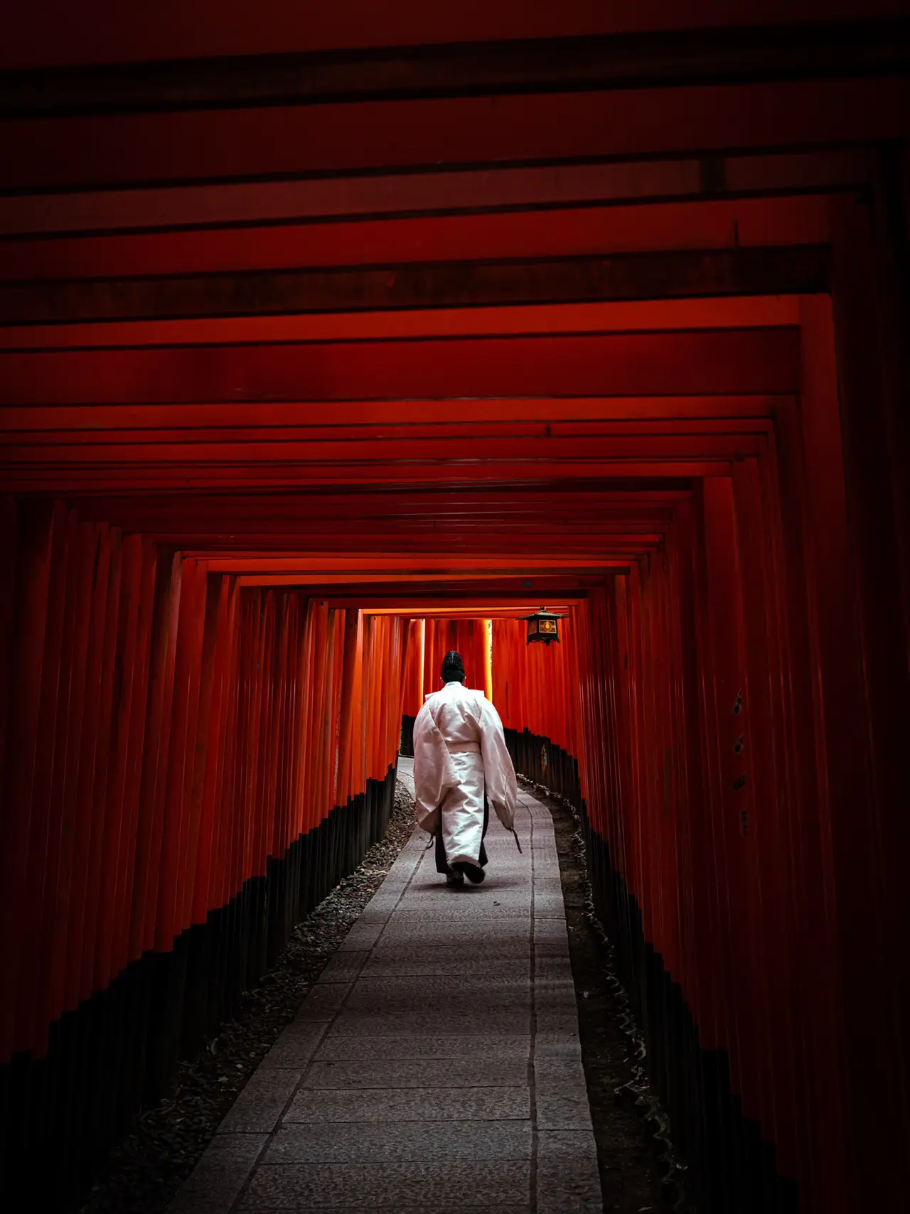 【死ぬまでに絶対行きたい日本の絶景】伏見稲荷大社@京都の画像 (1枚目)