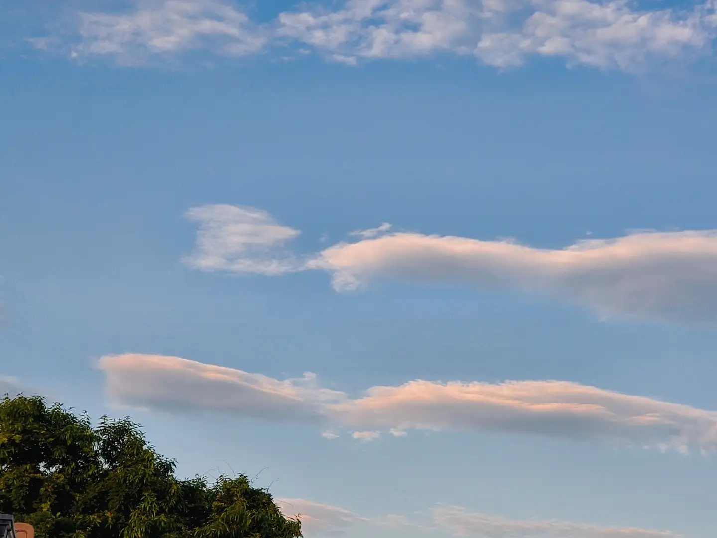 竜雲に関する最新の人気投稿 Lemon8