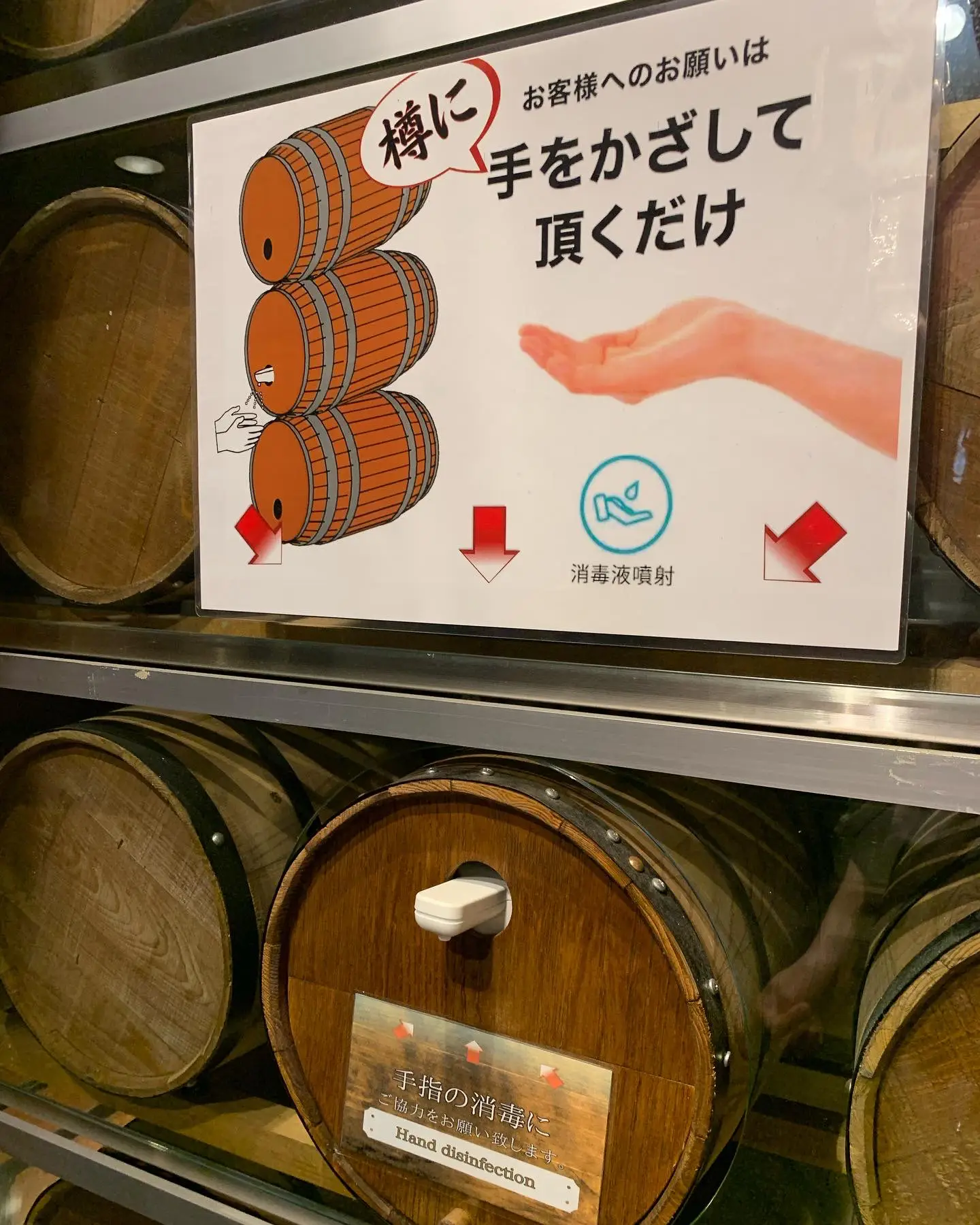 ５０種類の樽ワインが３０分３９０円で飲み放題 めしはし 東京コスパグルメ が投稿したフォトブック Lemon8