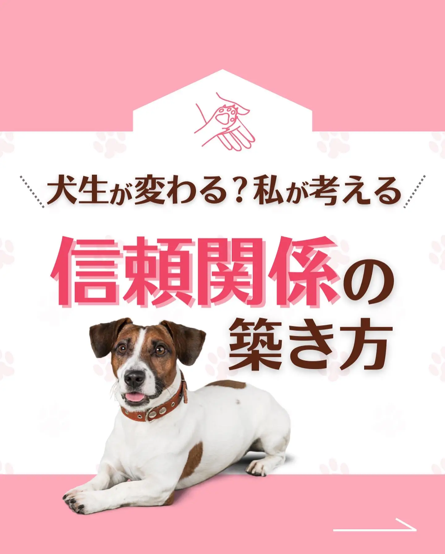 犬生が変わる 信頼関係の築き方 宮本あかり 犬猫育てトレーナーが投稿したフォトブック Lemon8