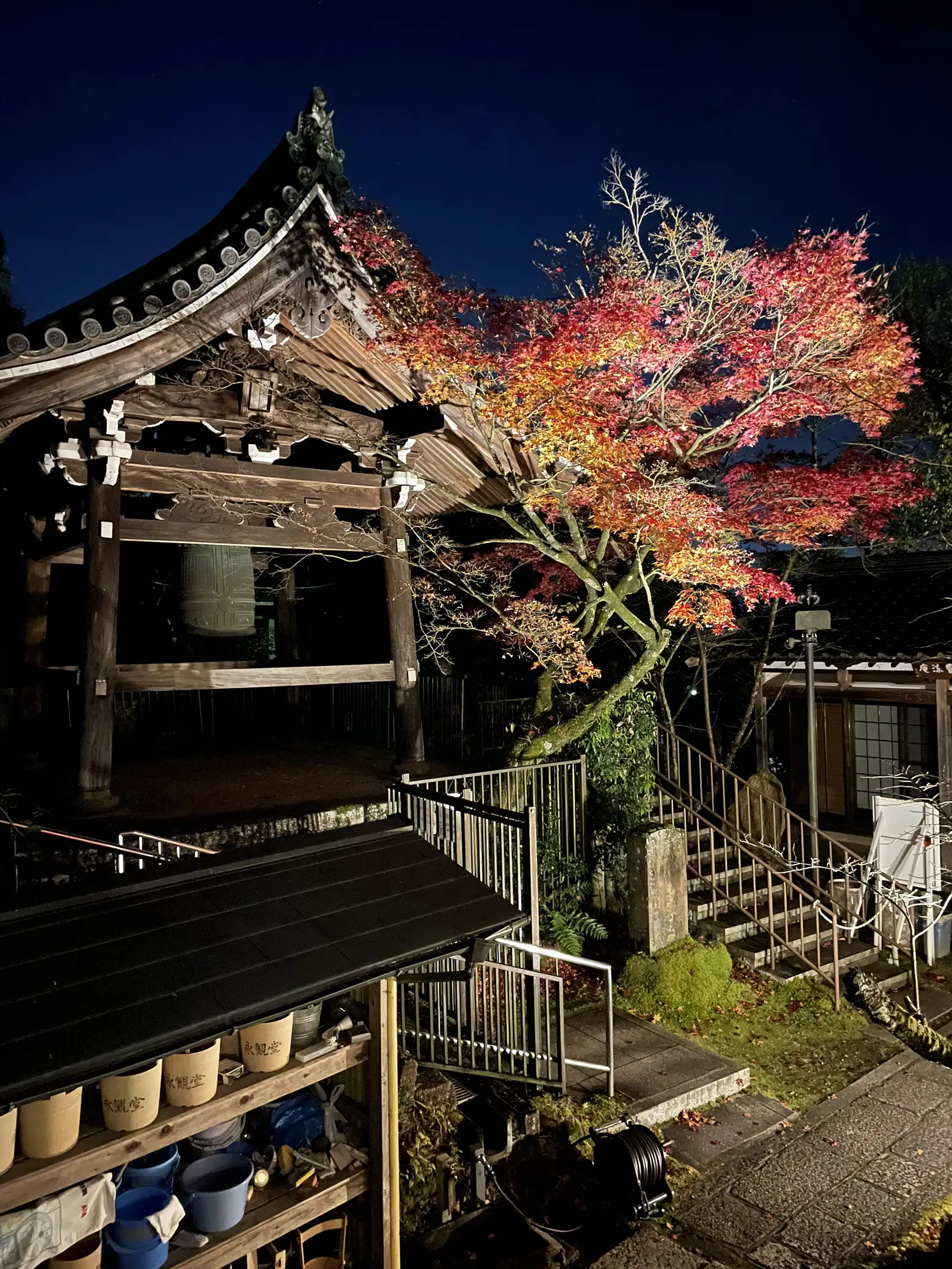 〜京都府〜秋の紅葉は永観堂！夜のライトアップの画像 (3枚目)
