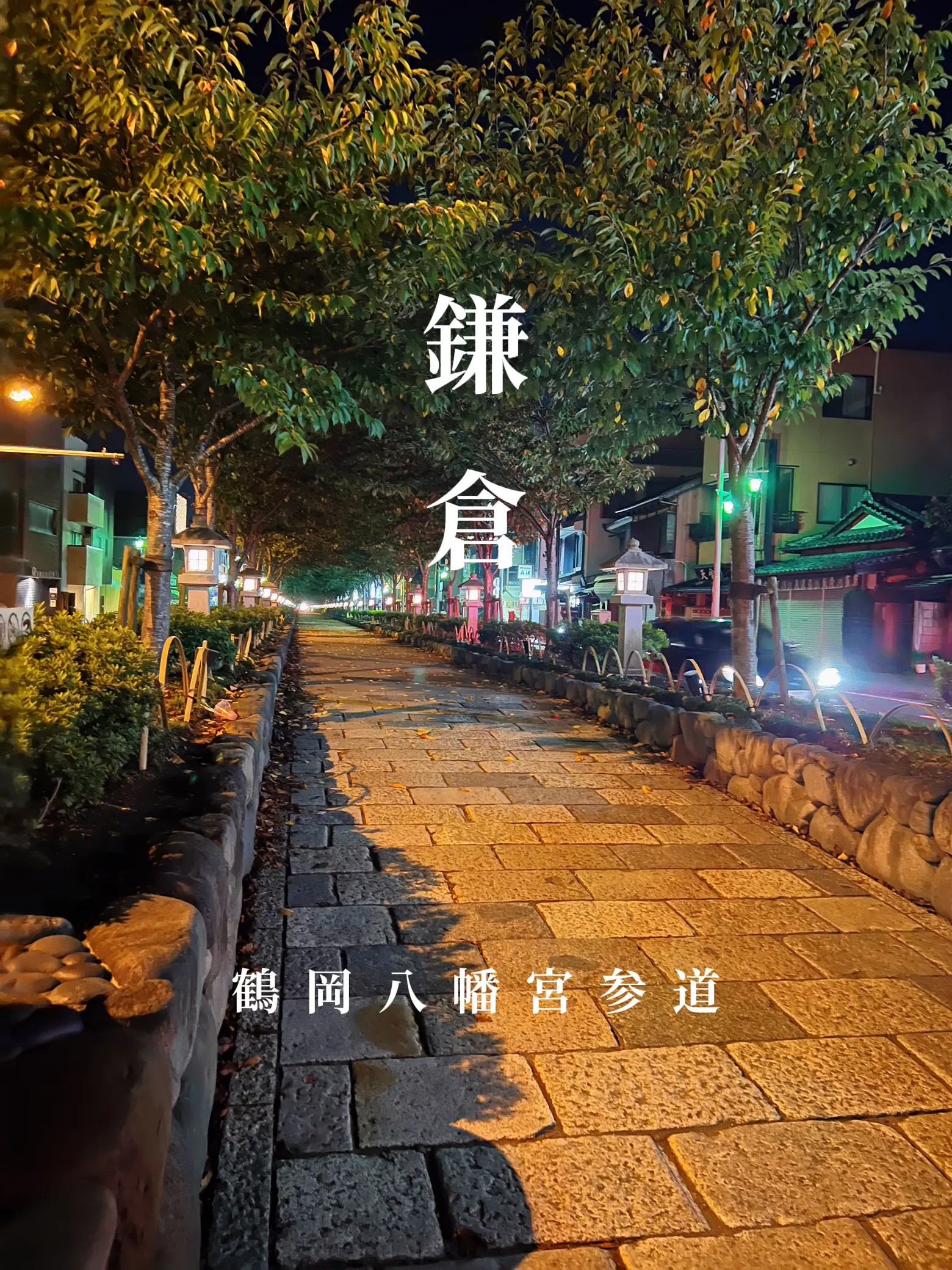 〜神奈川県〜夜の鎌倉散歩　並ぶ灯籠が古都の雰囲気に！の画像 (1枚目)