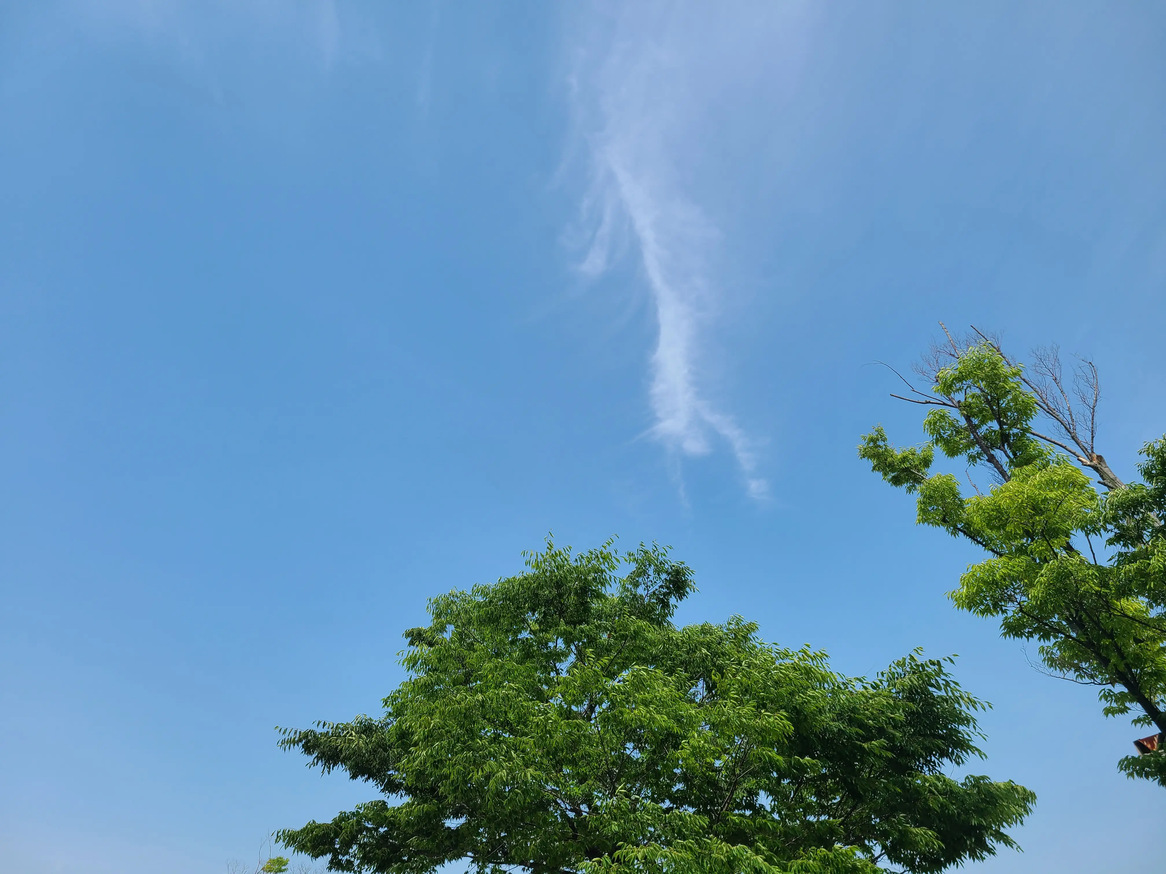 龍雲に関する最新の人気投稿 Lemon8