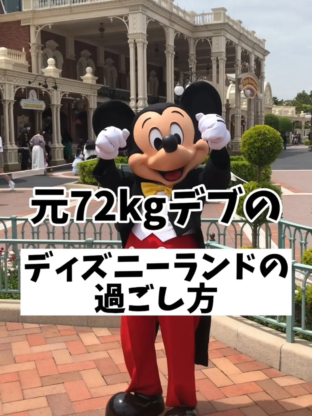 Lemon8 Story ディズニーランド効率いい周り方