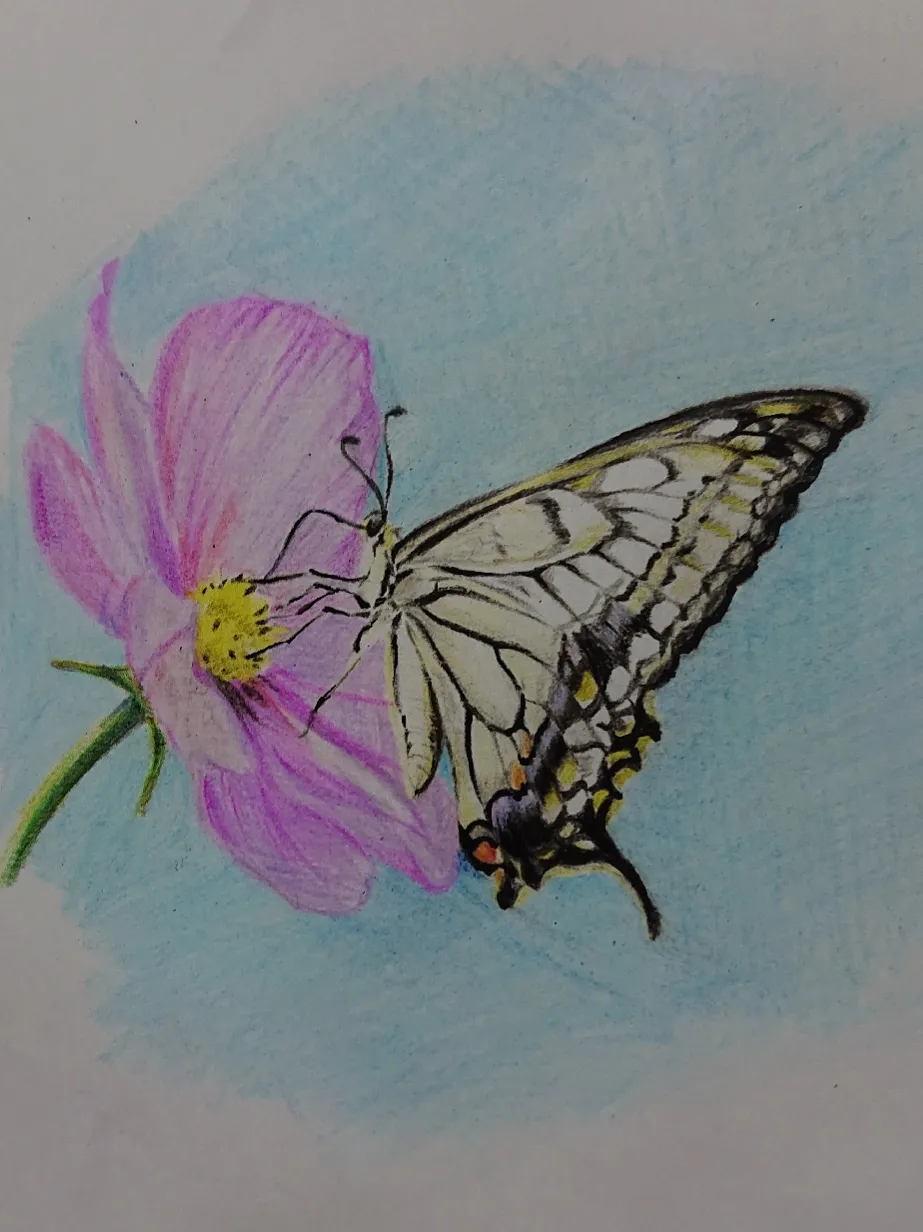 色鉛筆でアゲハ蝶 彩り が投稿したフォトブック Lemon8