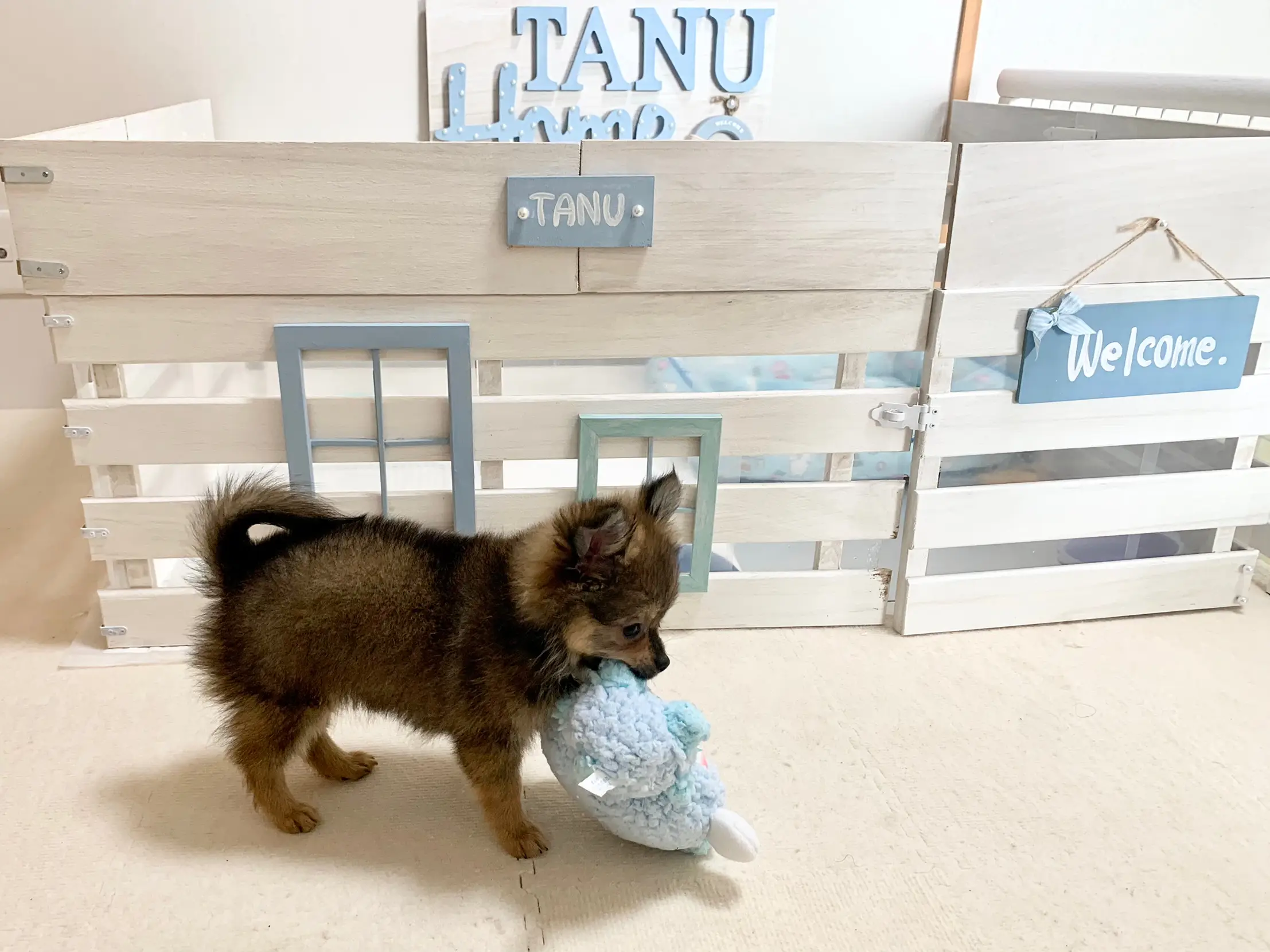 スノコ 100円ショップグッズで犬小屋diy Tanuちゃん が投稿したフォトブック Lemon8