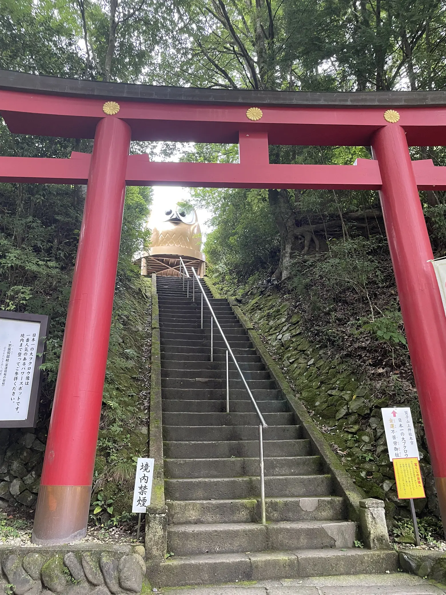 【栃木と茨城の県境！】パワースポット！日本一大きいフクロウがある神社の画像 (3枚目)