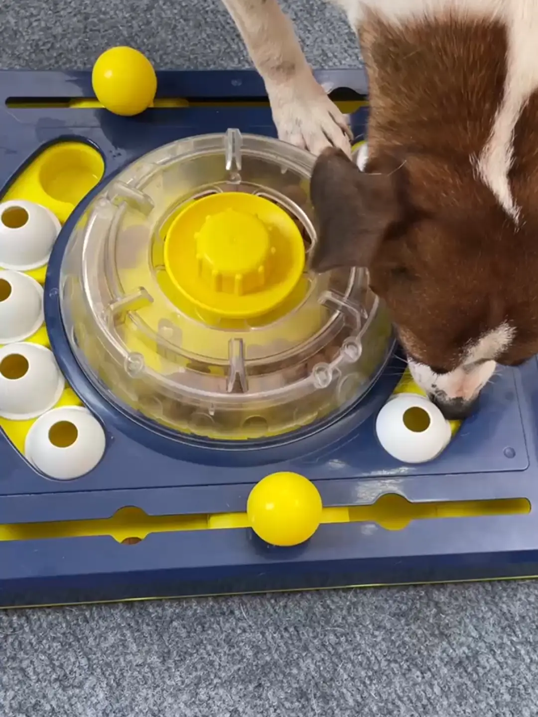 KADTC Dog Puzzle Toy Brain Mental Stimulation Mentally Stimulating Puppy  Treat Dispensing Food Feeder Dispenser Advanced Level 3 2 1 Interactive  Games