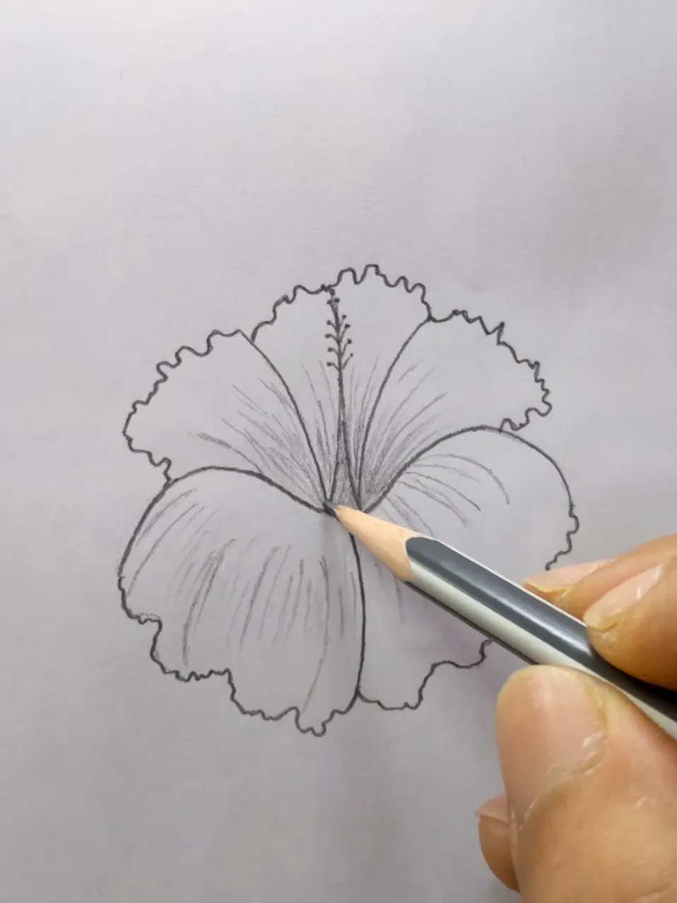 Hibiscus flower drawing with colour 🌺| step by step easy tutorial for  beginners | Hibiscus flower drawing with colour 🌺| step by step easy  tutorial for beginners | By Jamal Draw AcademyFacebook