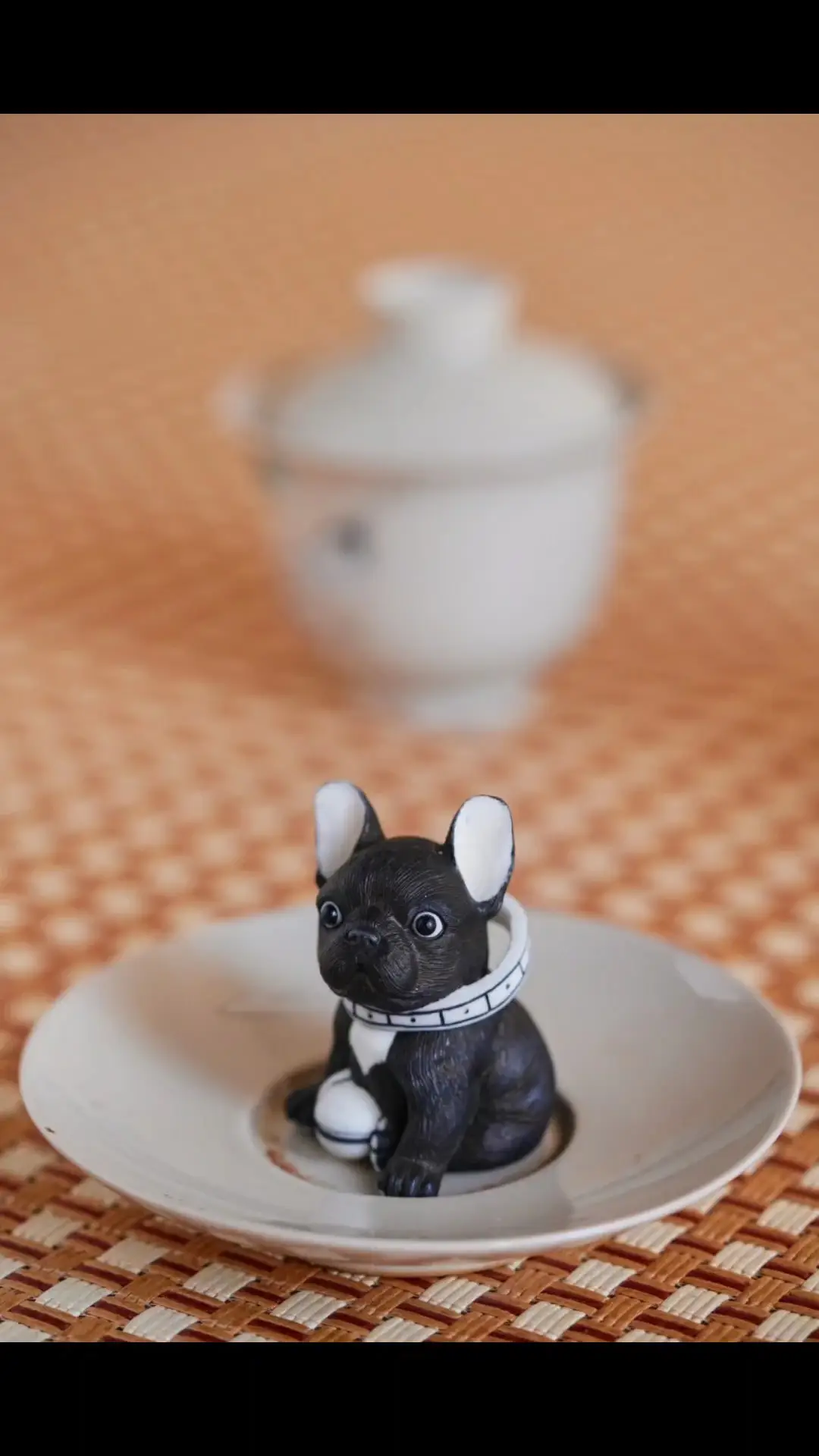 The Louis Vuitton Dog - TGIF 🎉🎉🎉🎉🤩🤗🤪🥳 #thelouisvuittondog  #biggiebearbulldog • • • • • #frenchiesofinstagram #frenchbulldog  #frenchbulldogli