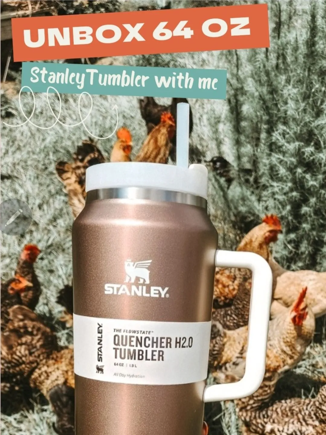 64oz Stanley Tumbler, Video published by Diedre Anthony