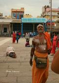 インド、チェンナイ散策 〜インド人と大喧嘩？パート1〜の画像