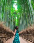 観光客の多い京都で人が映り込まない写真を撮るコツ‼︎ in 竹林の小径|Before→Afterの画像